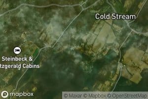 Cold Stream Run Spring