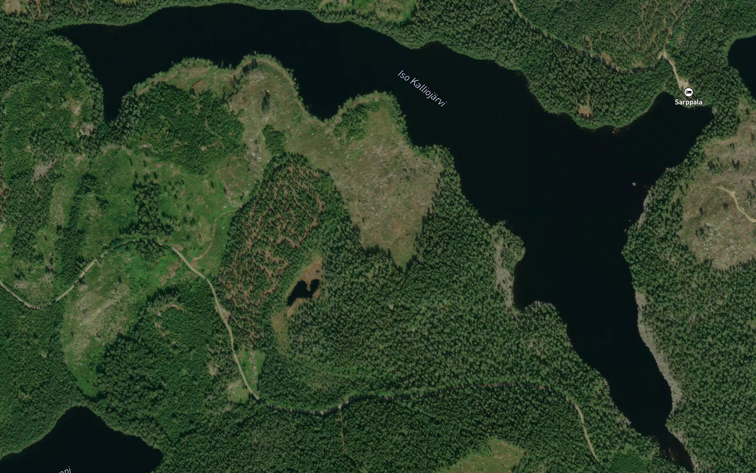 Iso Kalliojarvi