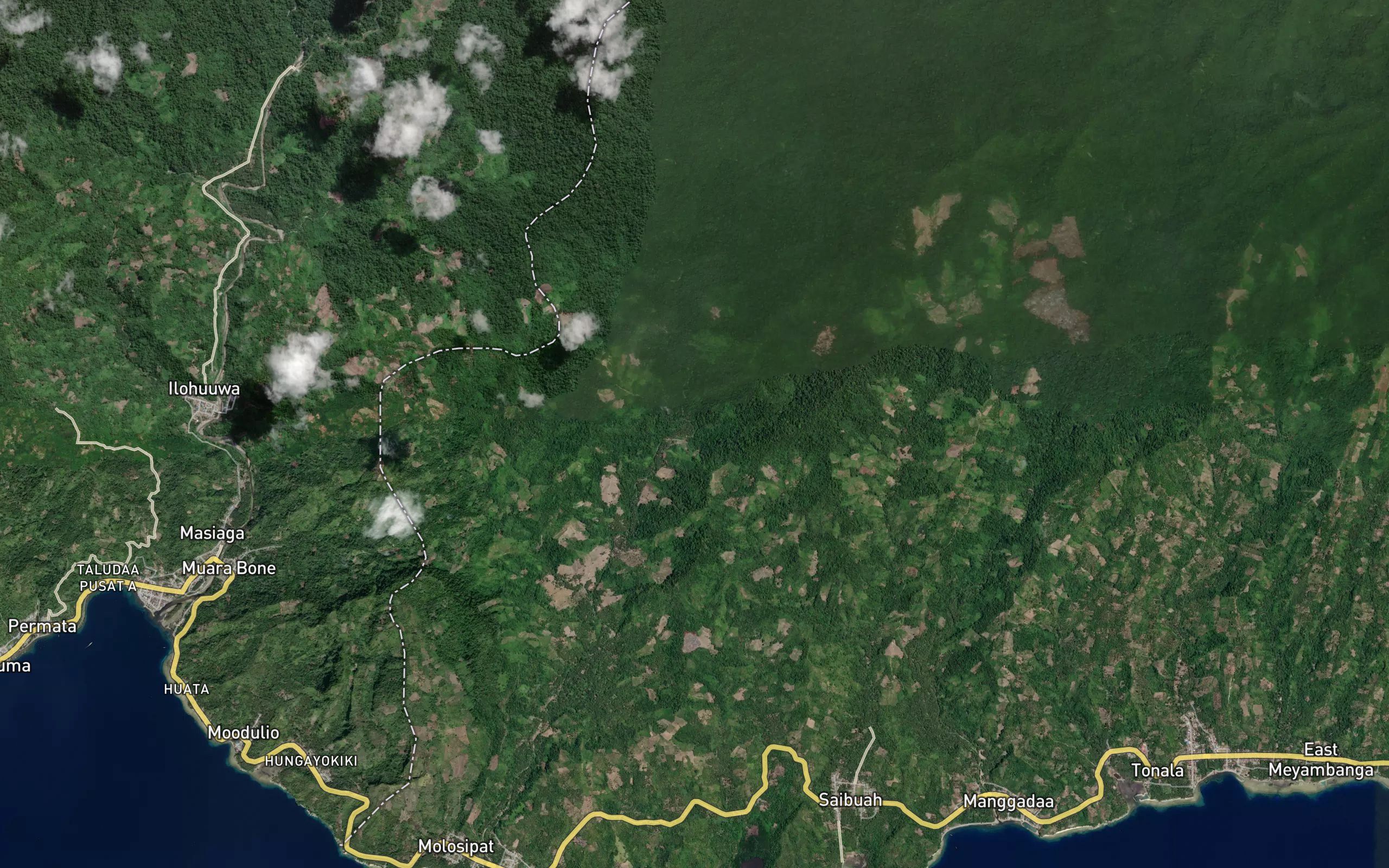 Dutula Pinang