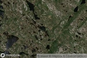 Lisle Grastakktjonna