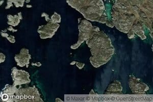 Risoybugen