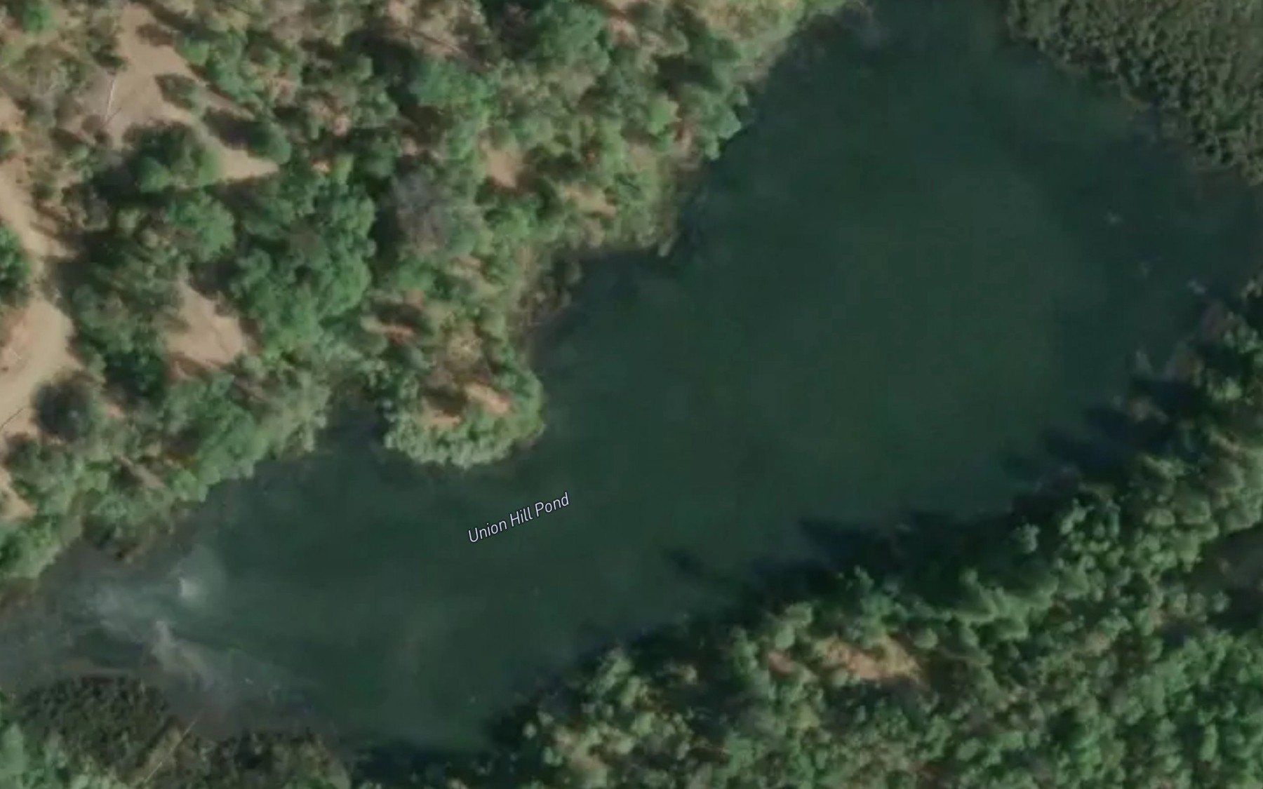 Satellite map of the Union Hill Pond