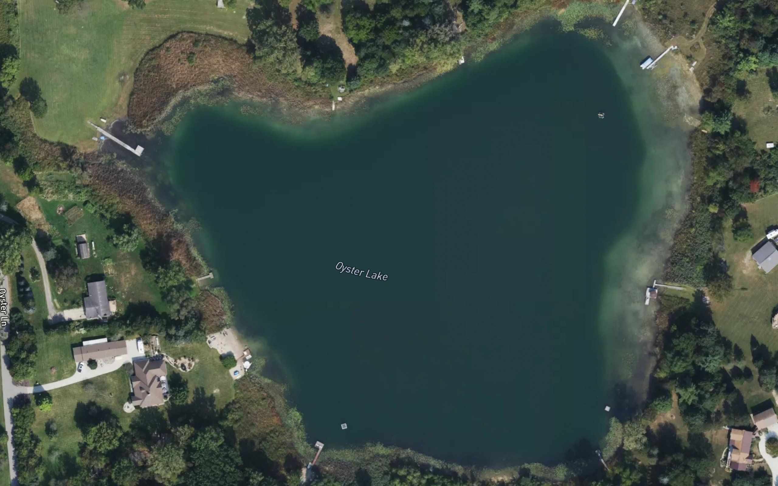 Oyster Lake