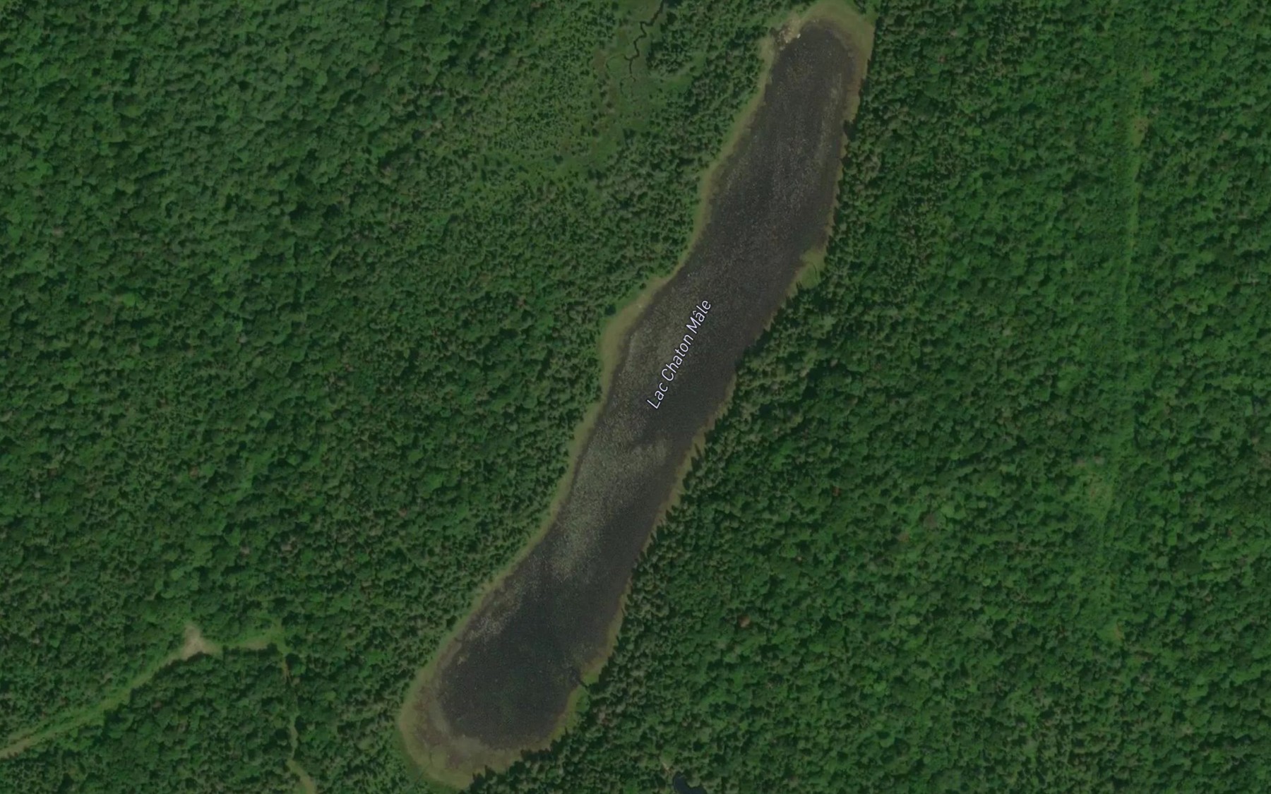 Satellite map of the Lac Chaton Male