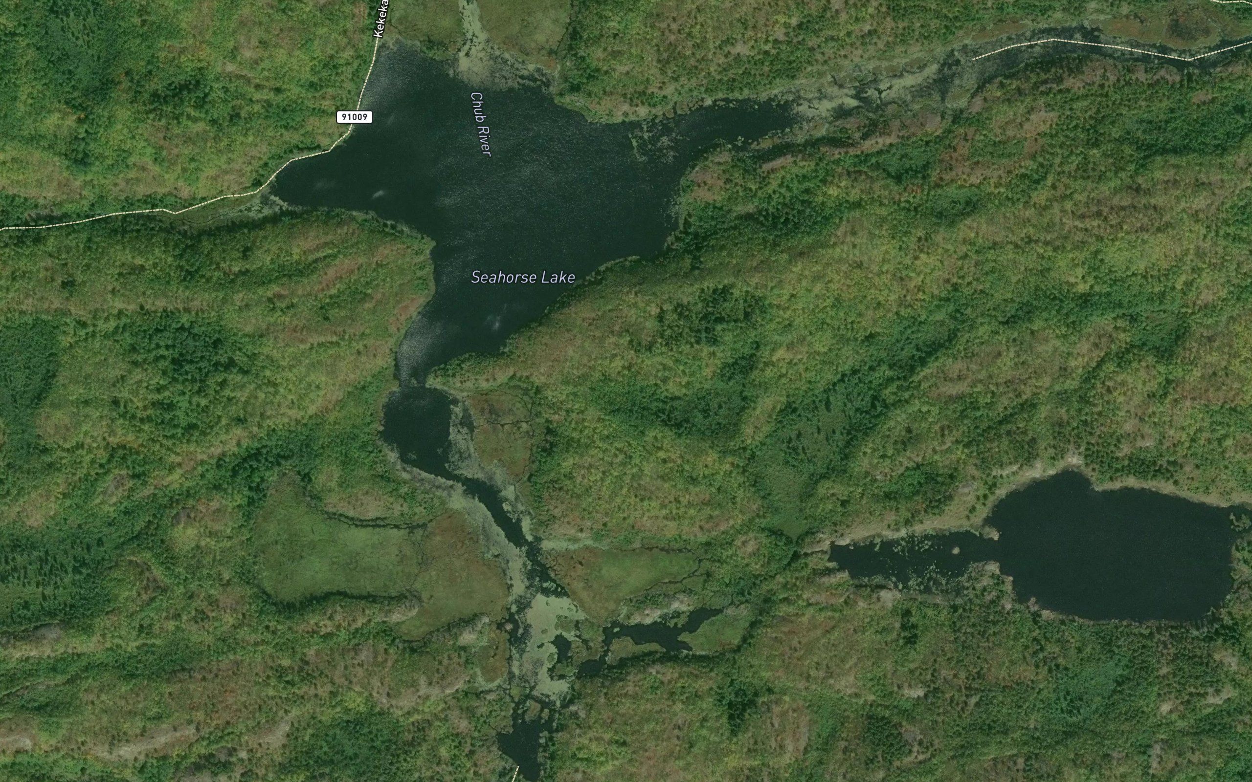 Seahorse Lake