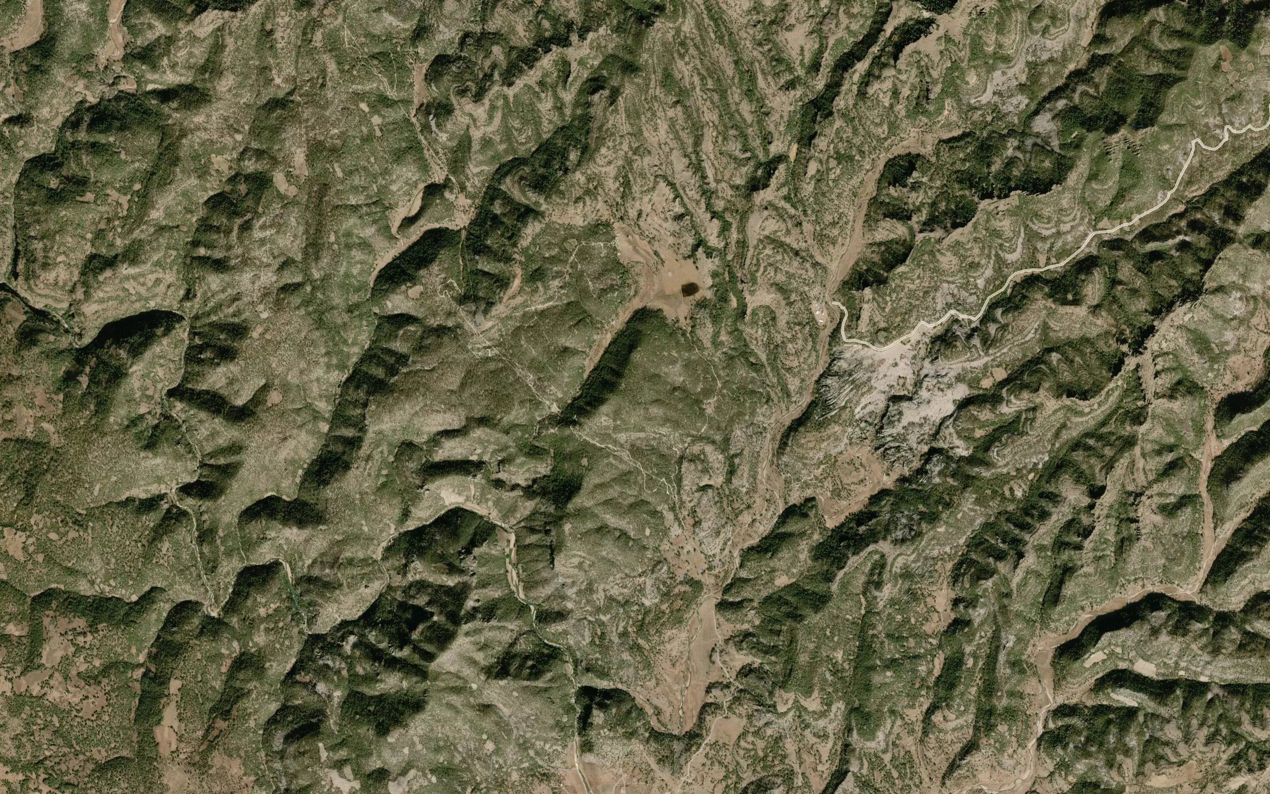 Arroyo Palo Muerto