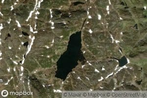 Finnebutjorn