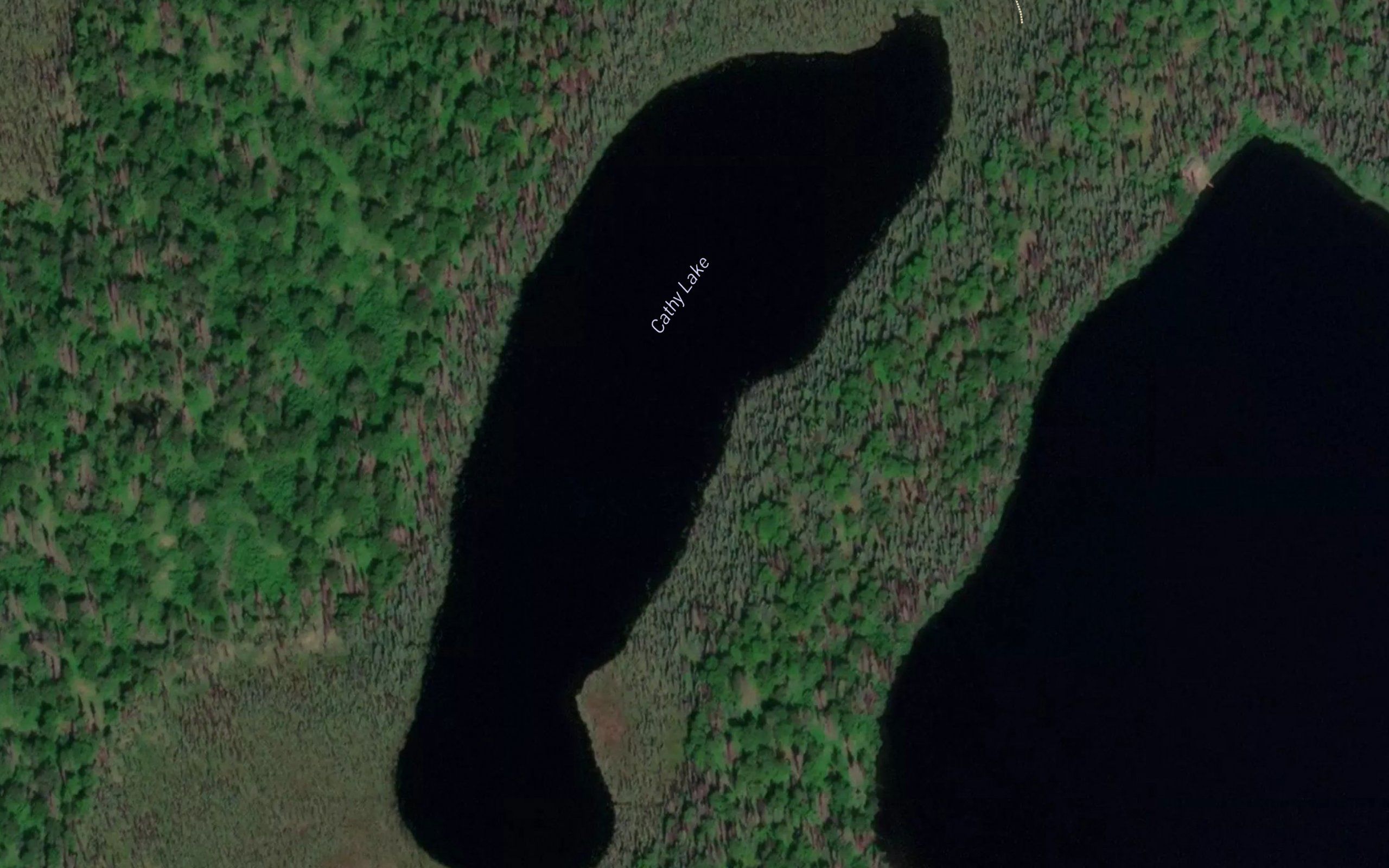Cathy Lake