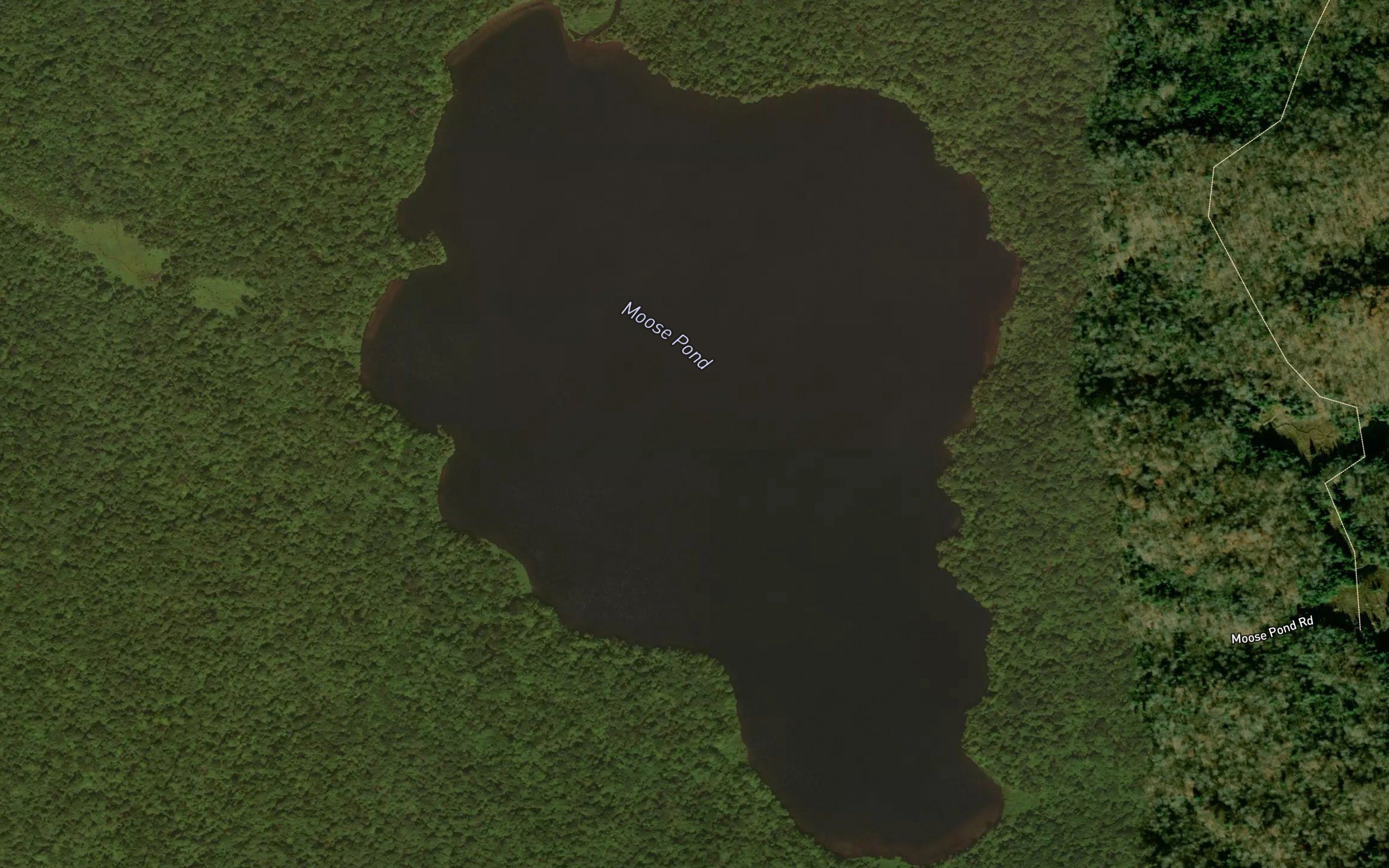 Moose Pond
