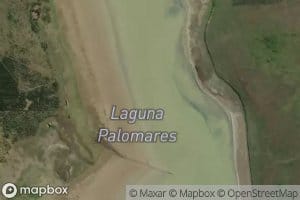 Laguna Palomares