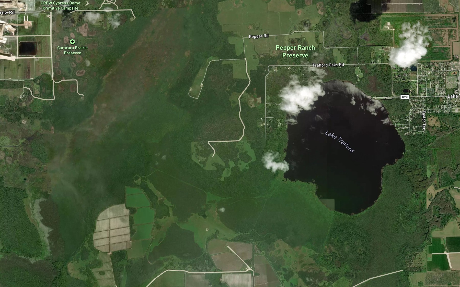 Satellite map of the Big Hammock