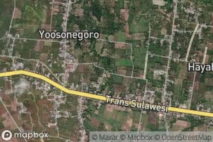 Dutula Butulopolontanga