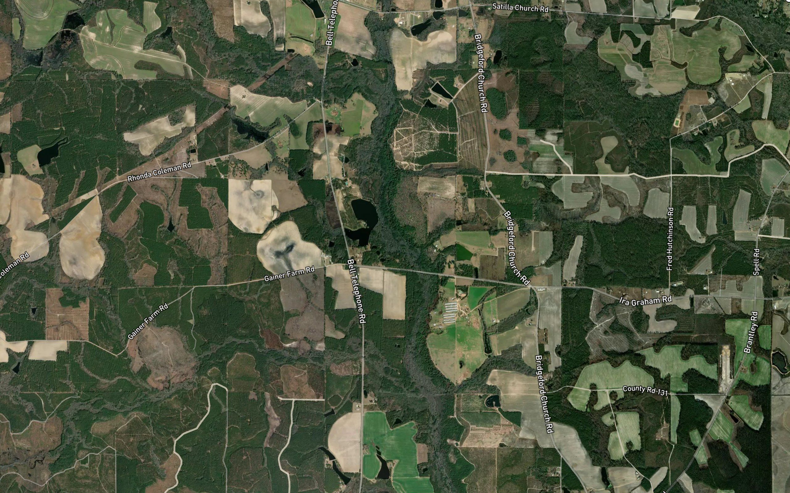 Old Field Branch