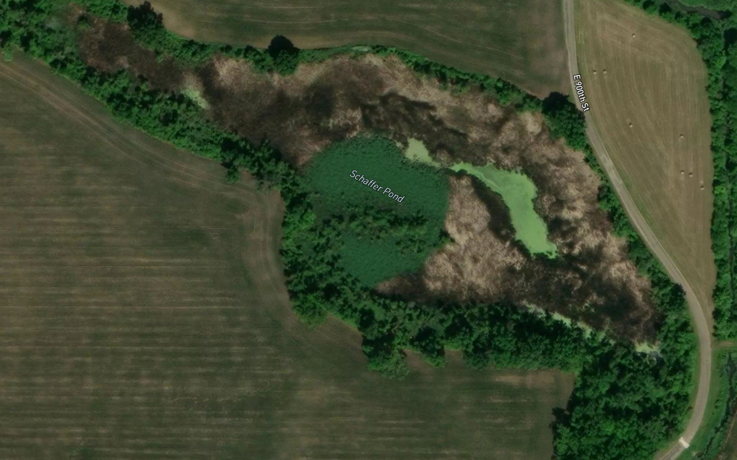 Schaffer Pond