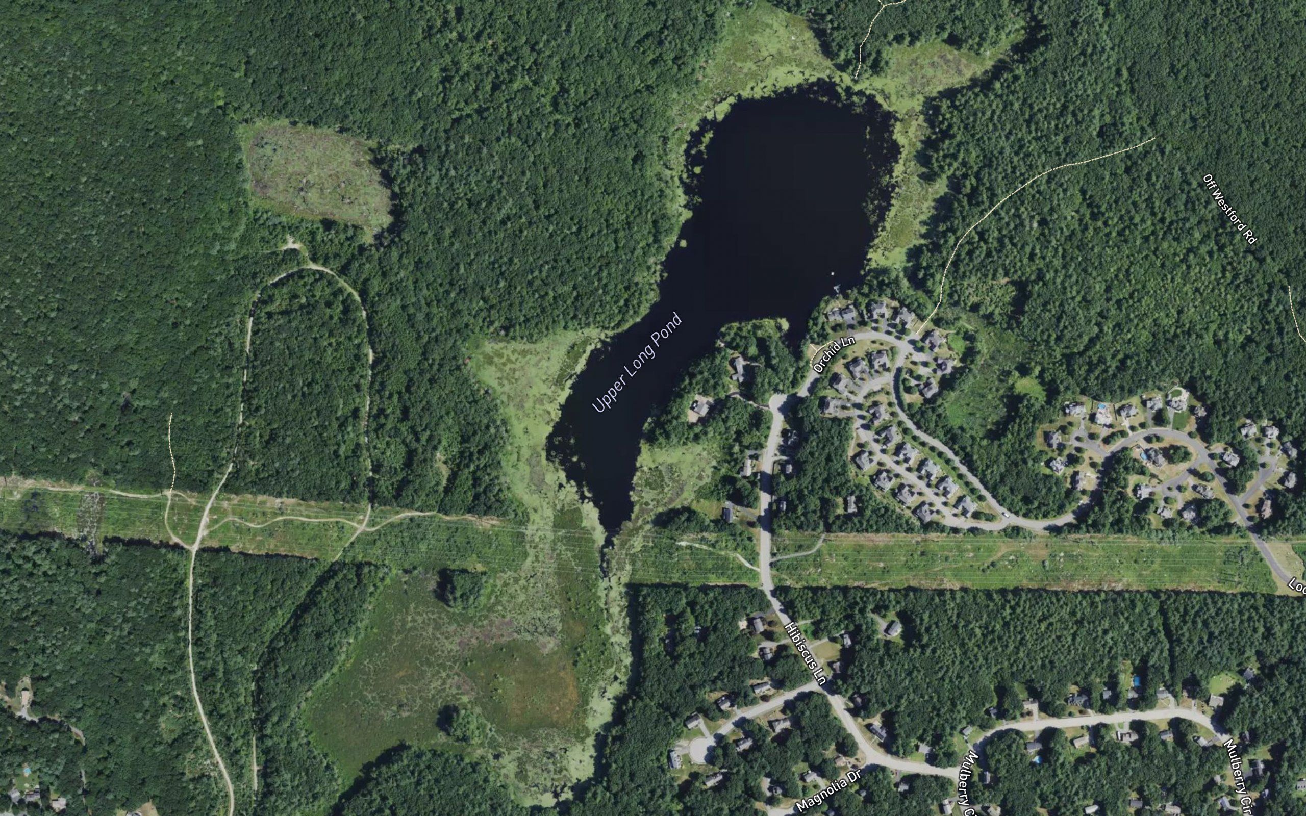 Long Pond
