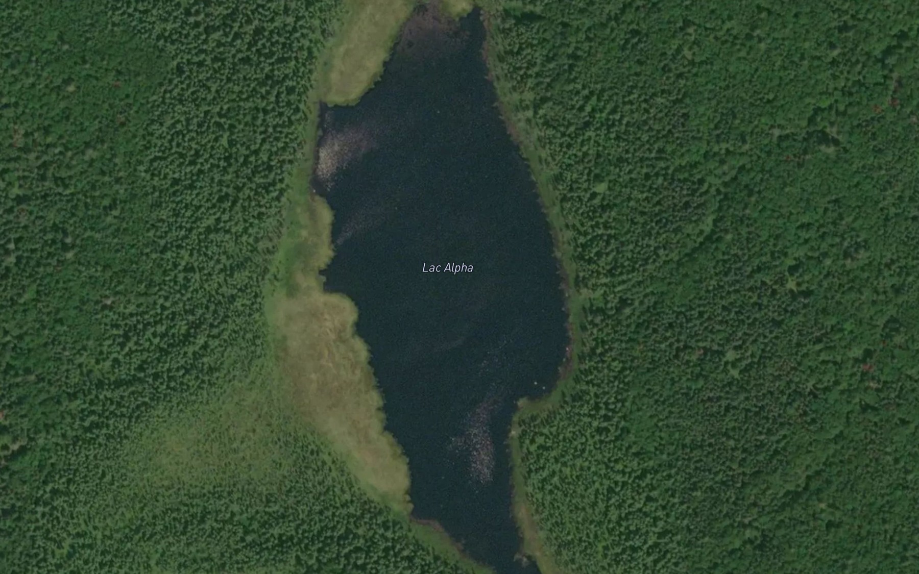 Satellite map of the Lac Alpha