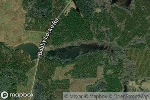 Long Pond