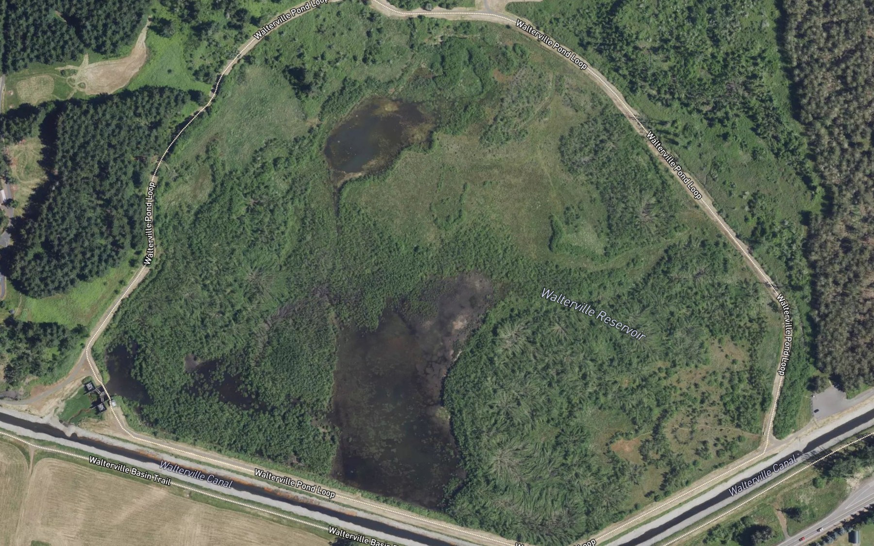 Satellite map of the Walterville Reservoir