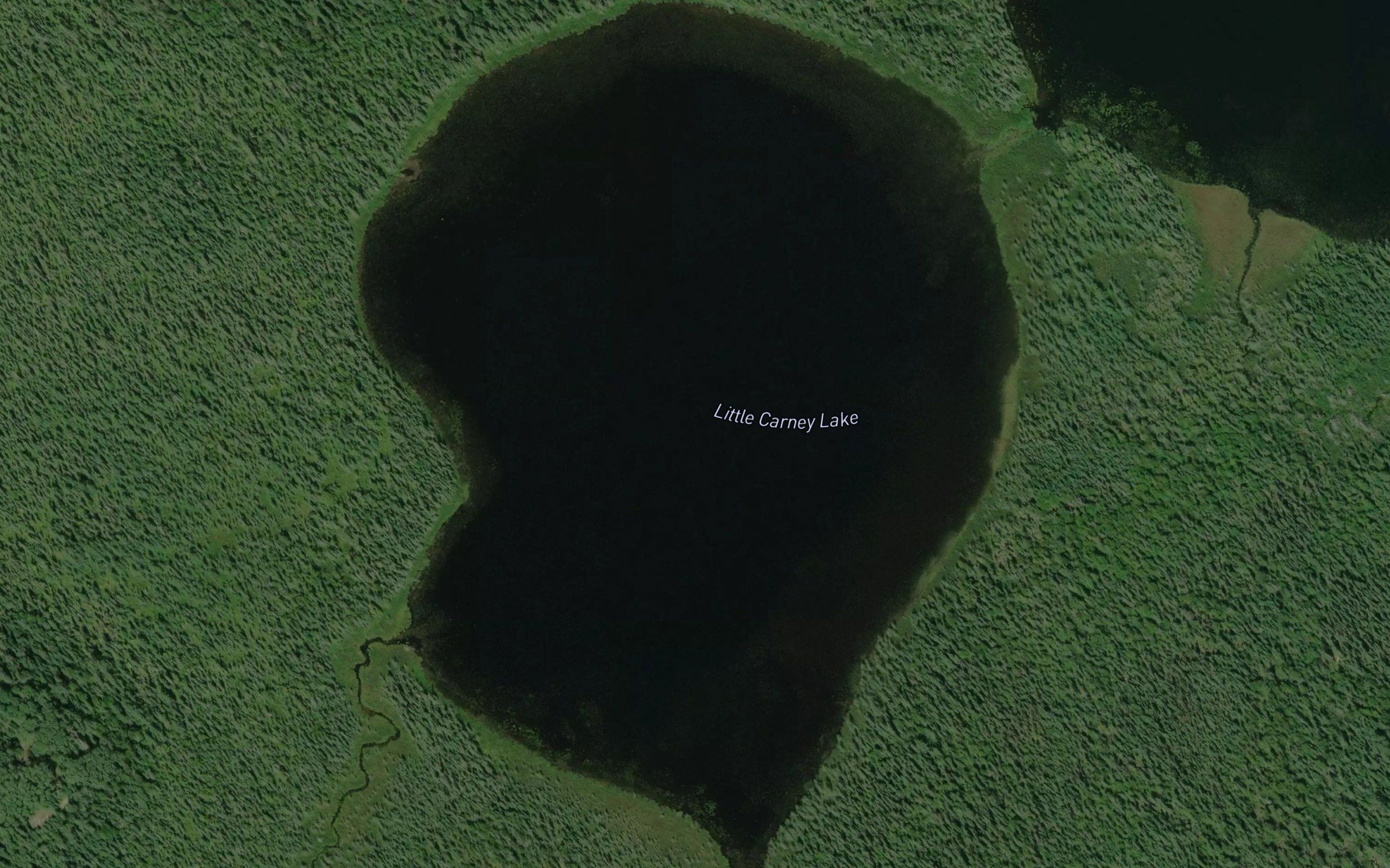 Little Carney Lake