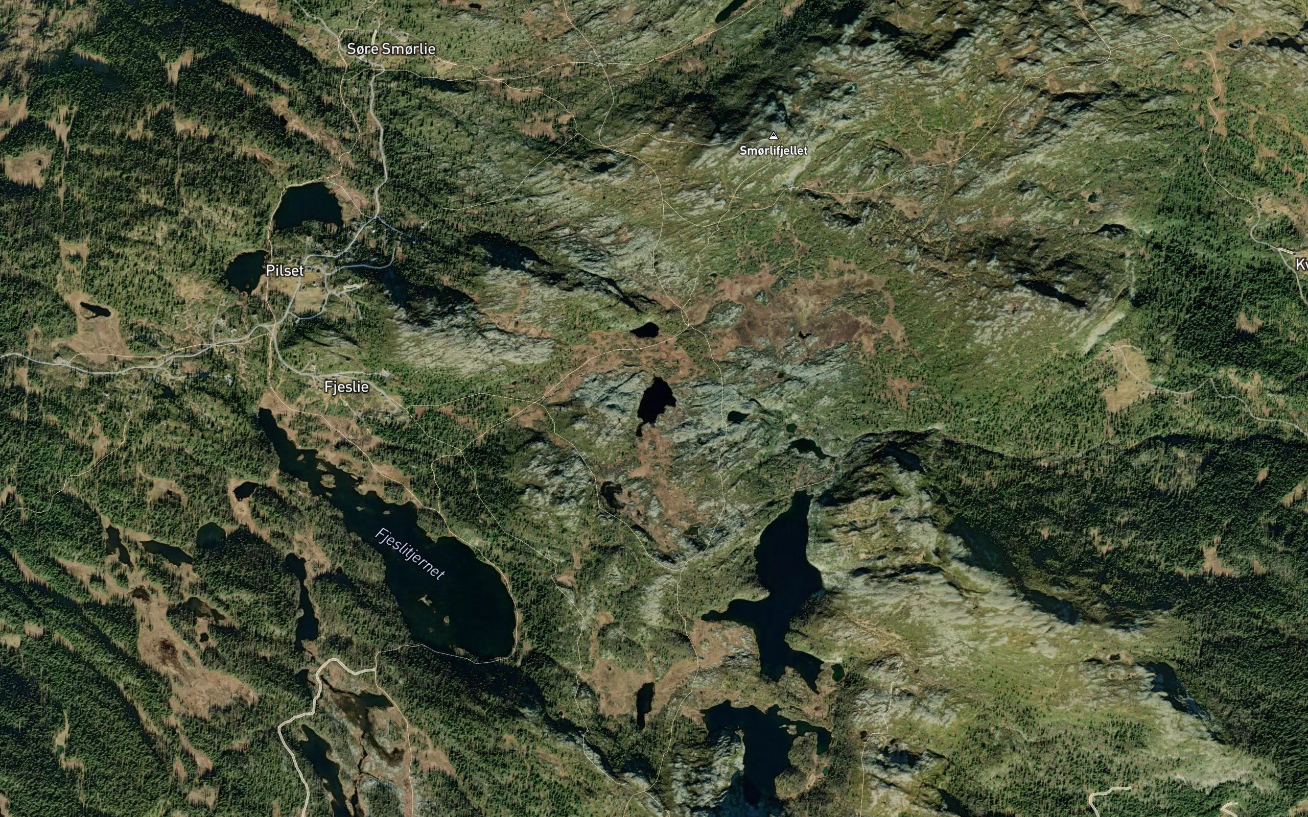 Steinbrenntjednet
