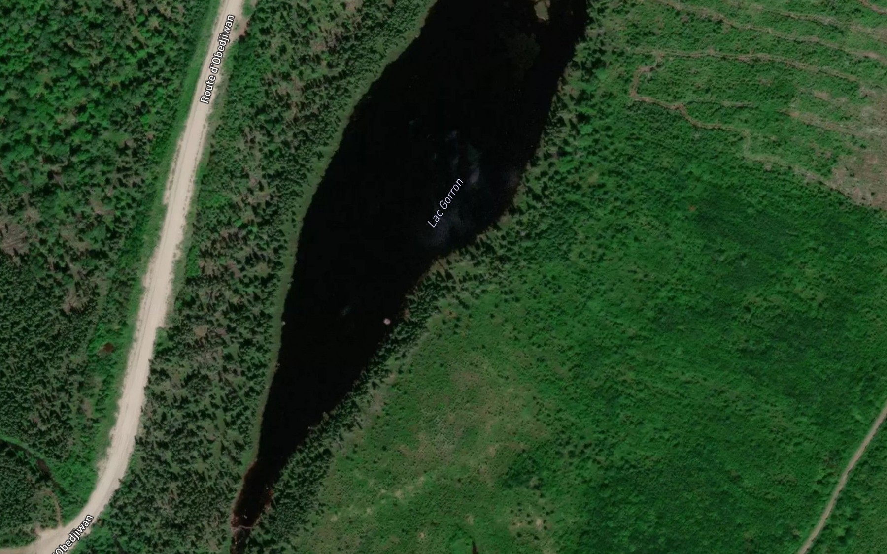 Satellite map of the Lac Gorron