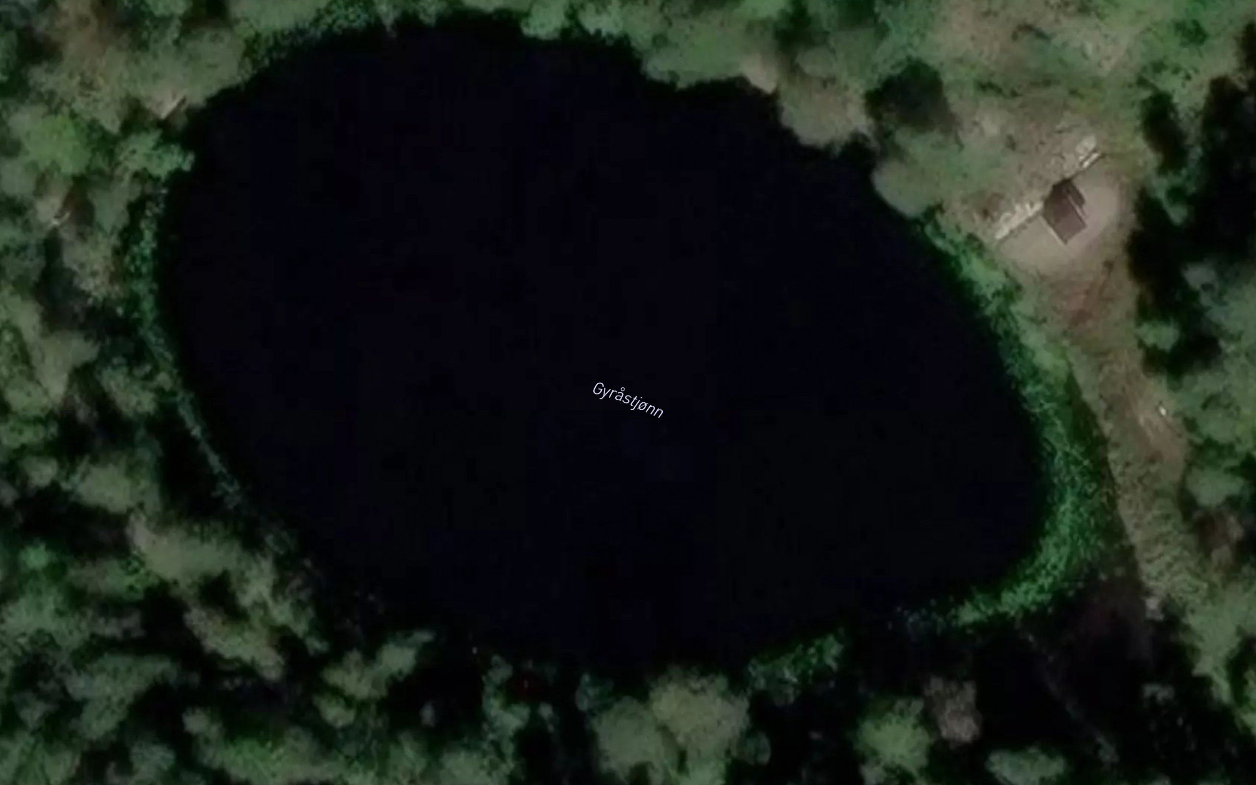 Gyrastjonn