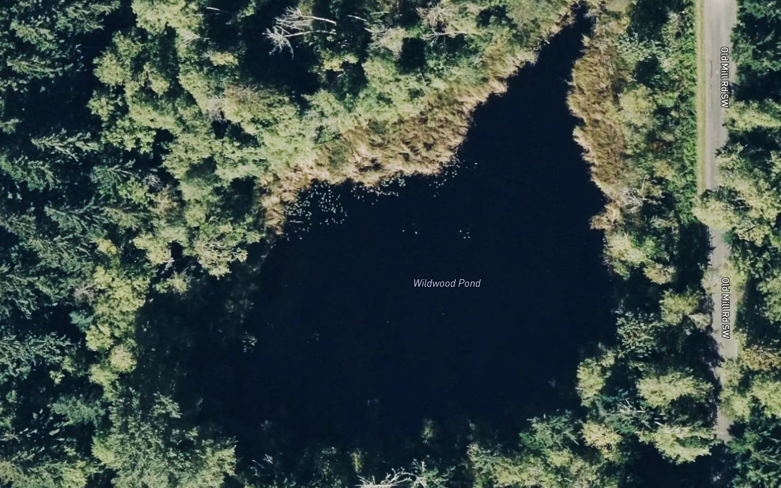 Wildwood Pond