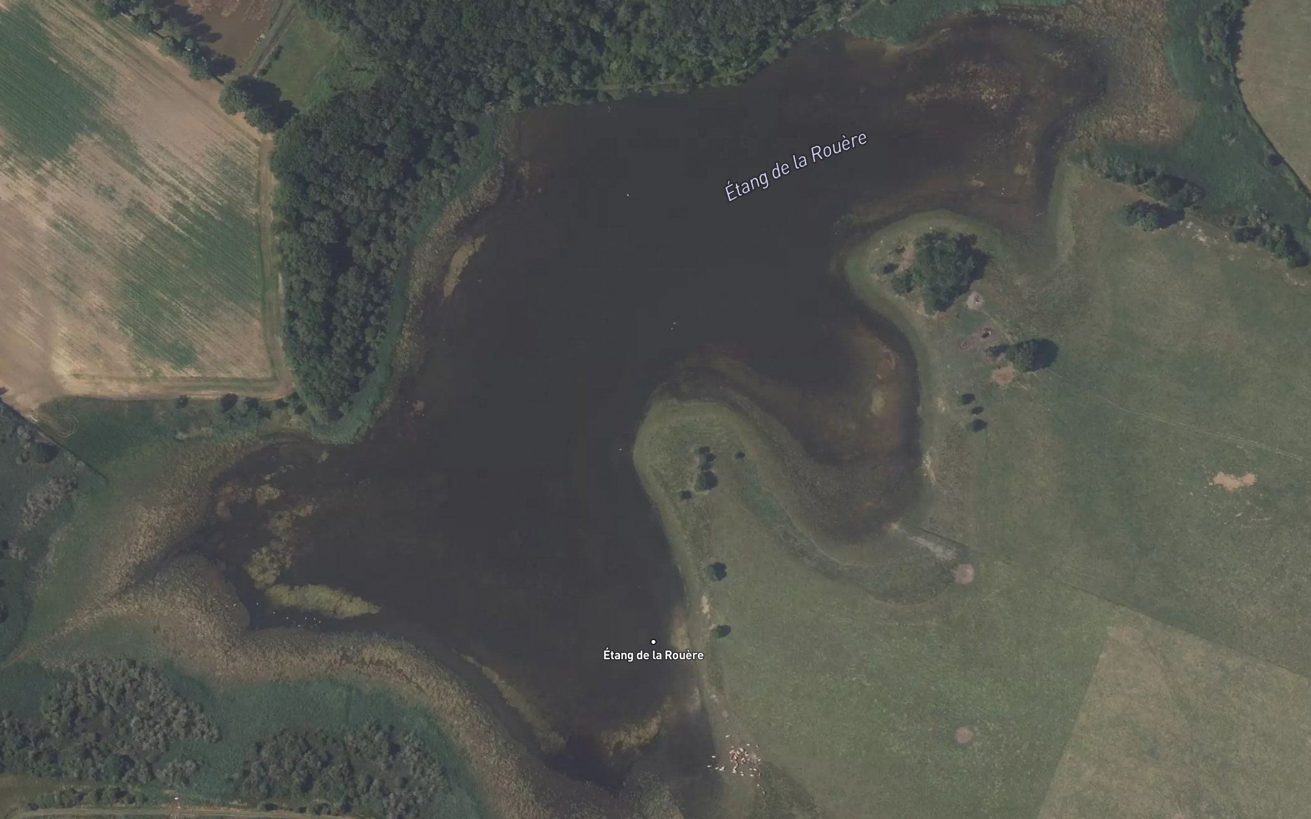 Etang de la Rouere