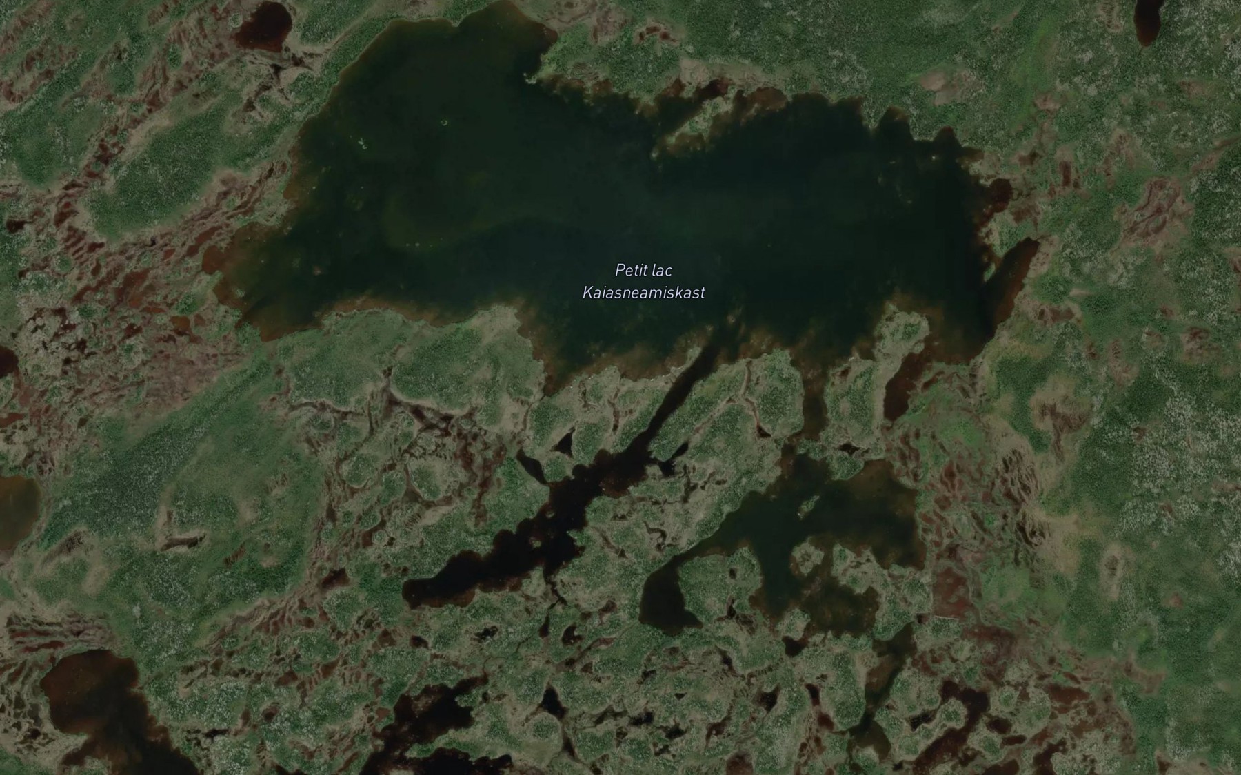 Satellite map of the Petit lac Kaiasneamiskast