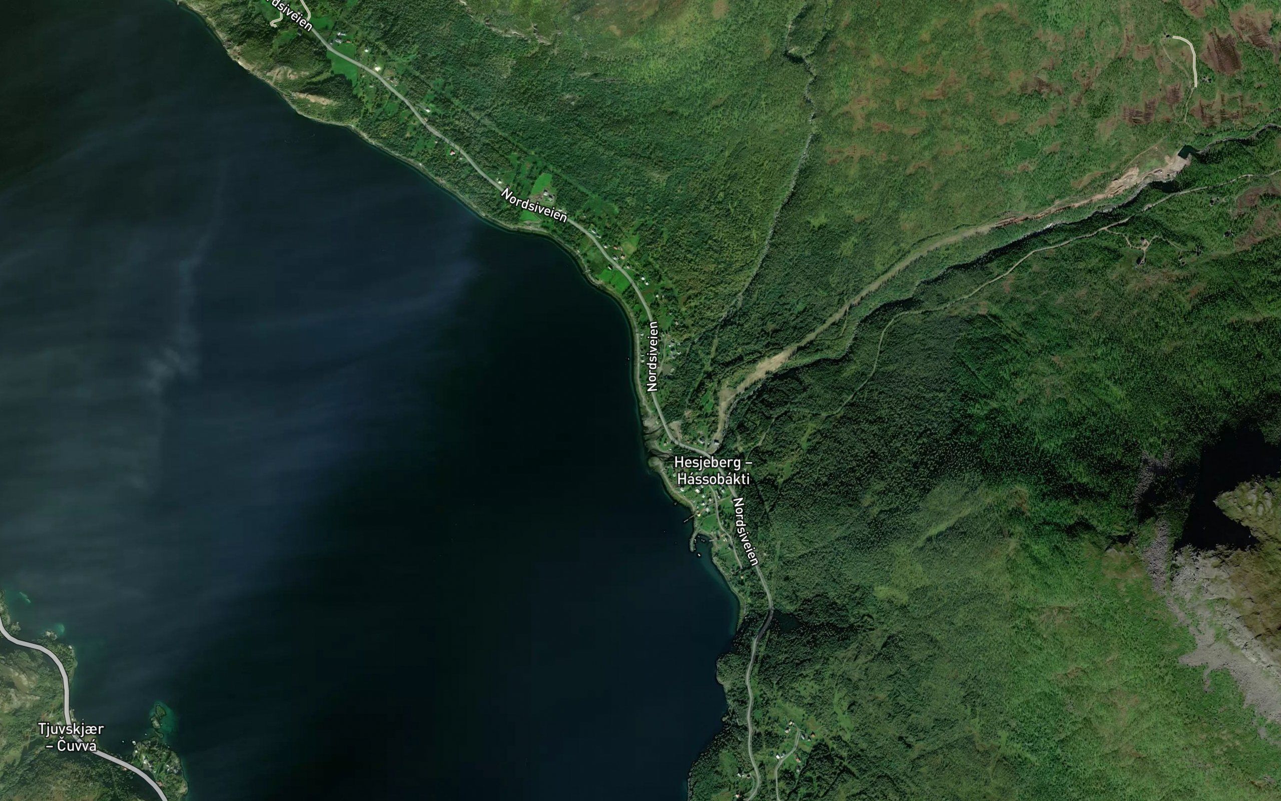 Ystelielva
