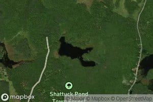 Shattuck Pond