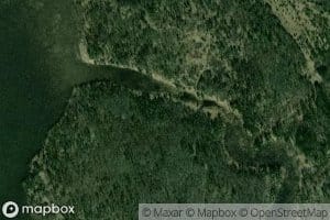 Log Kalinovka Pervaya