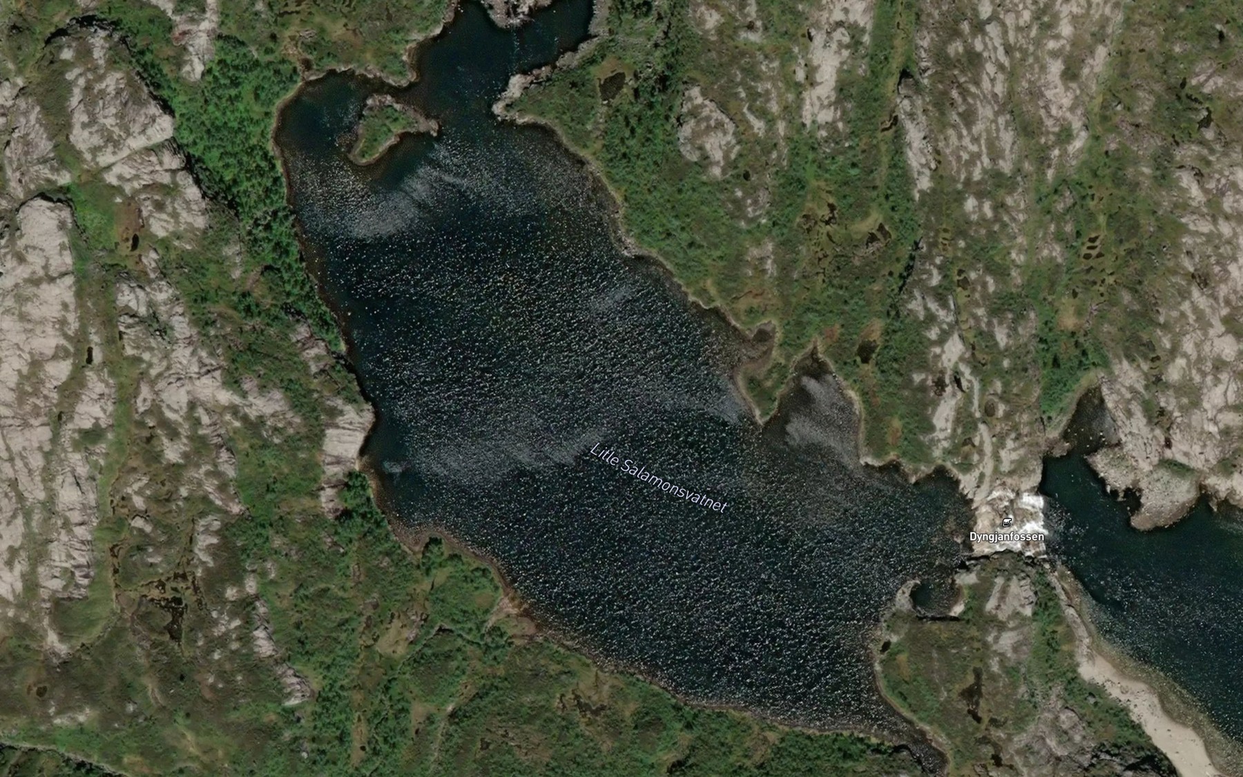 Satellite map of the Salomonsvatnet,litla