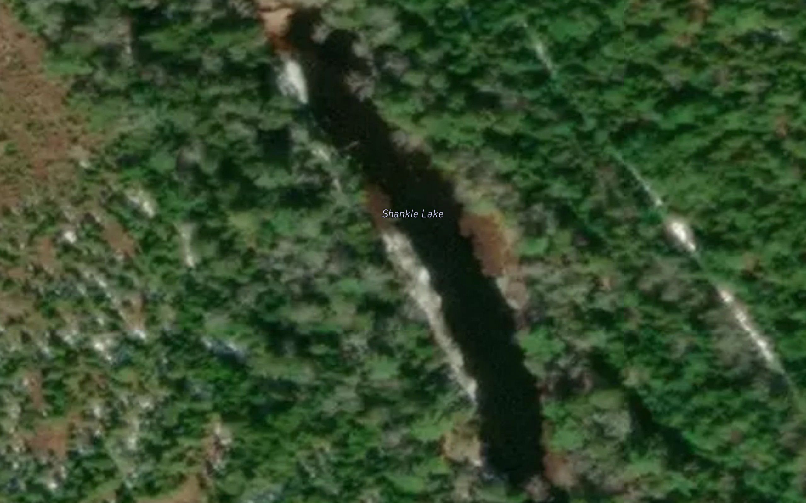 Shankle Lake