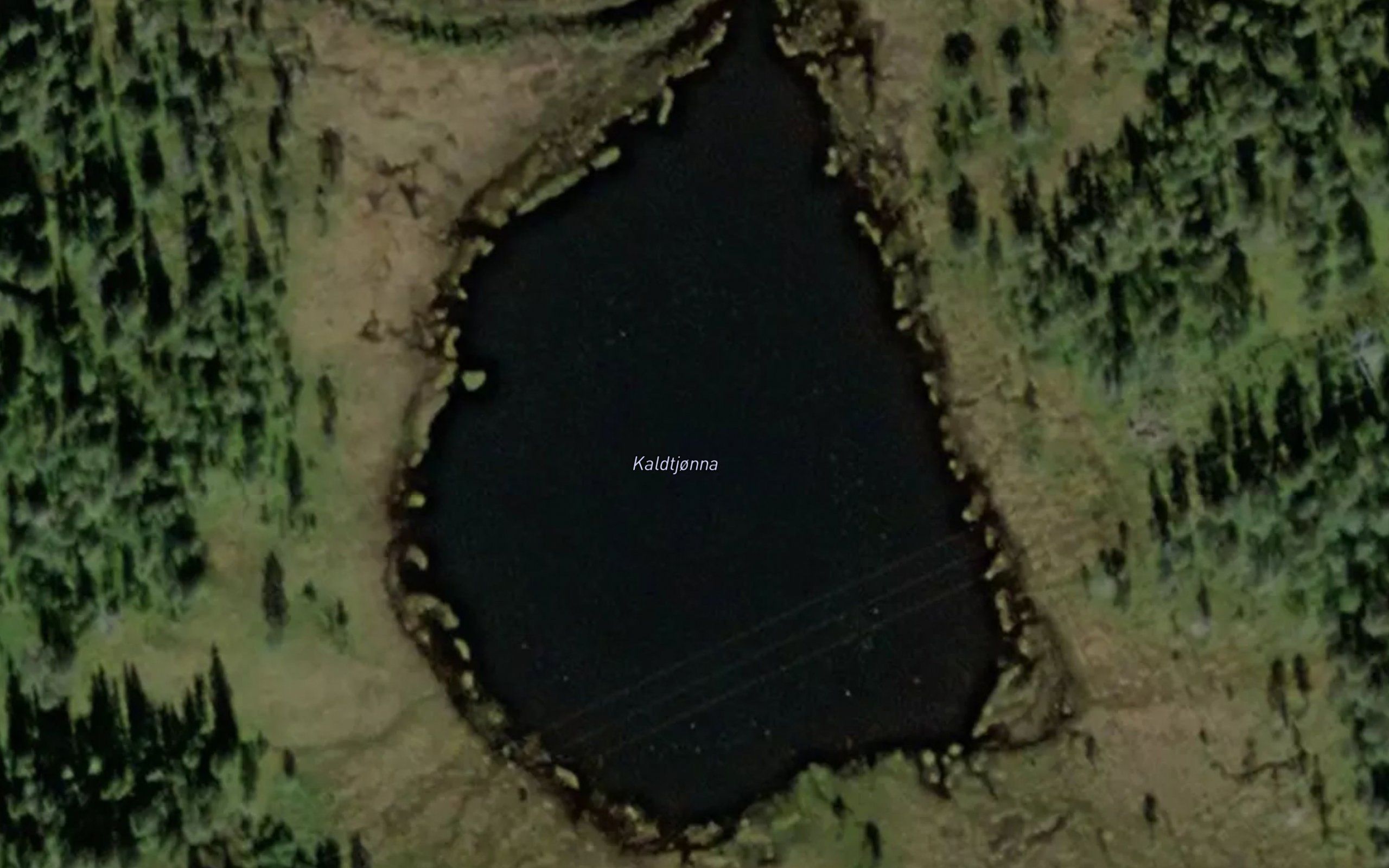 Svarttjorna