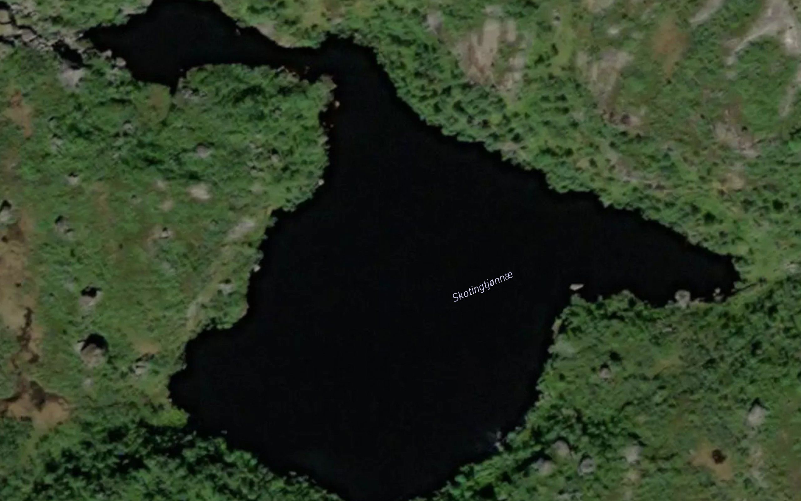 Skotingtjornin