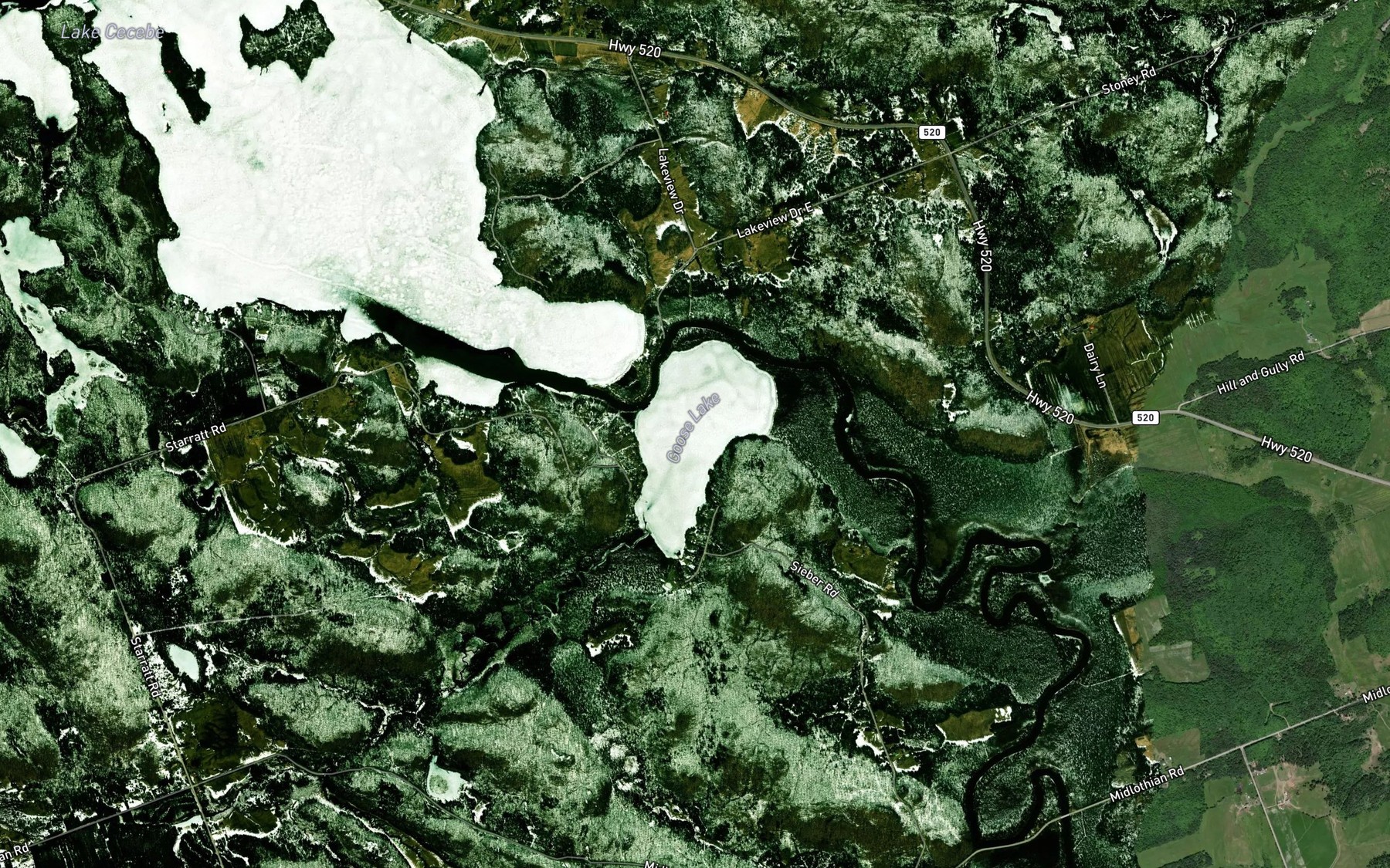 Satellite map of the Goose Lake