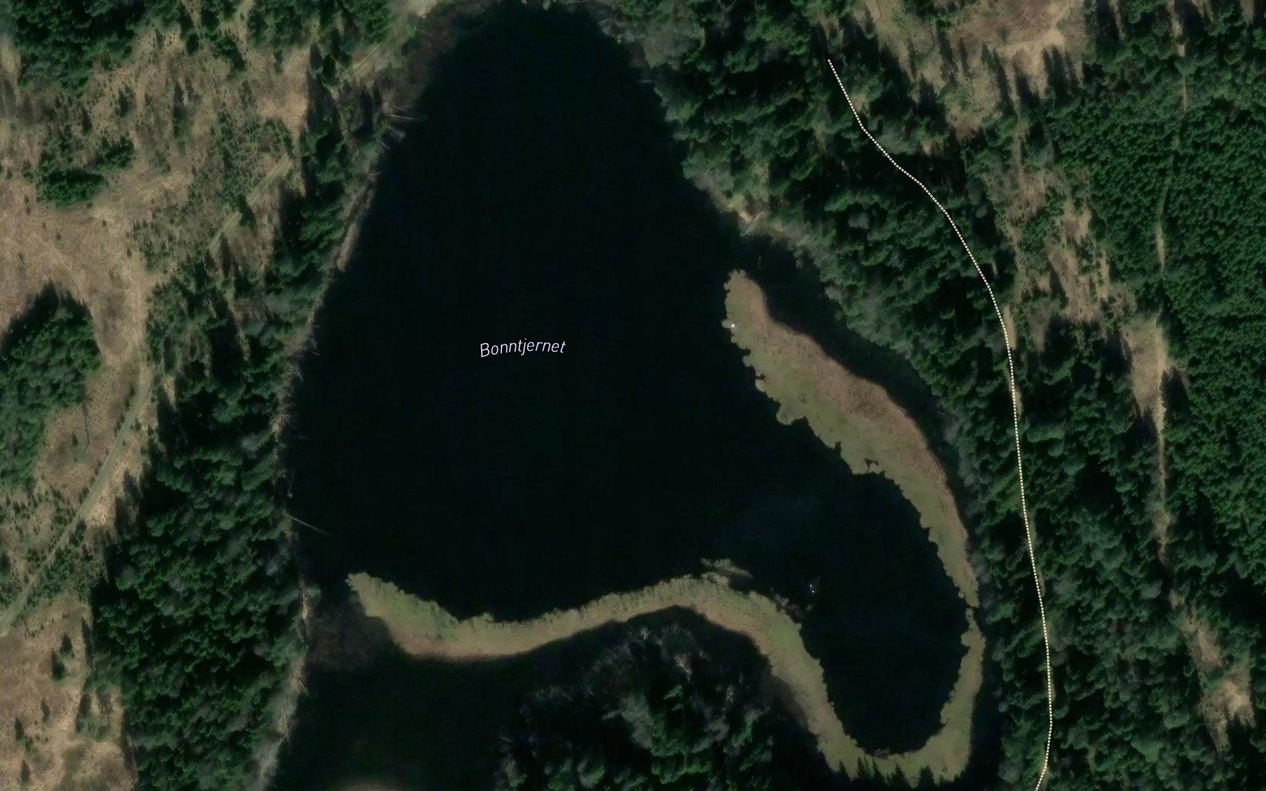 Bonntjern