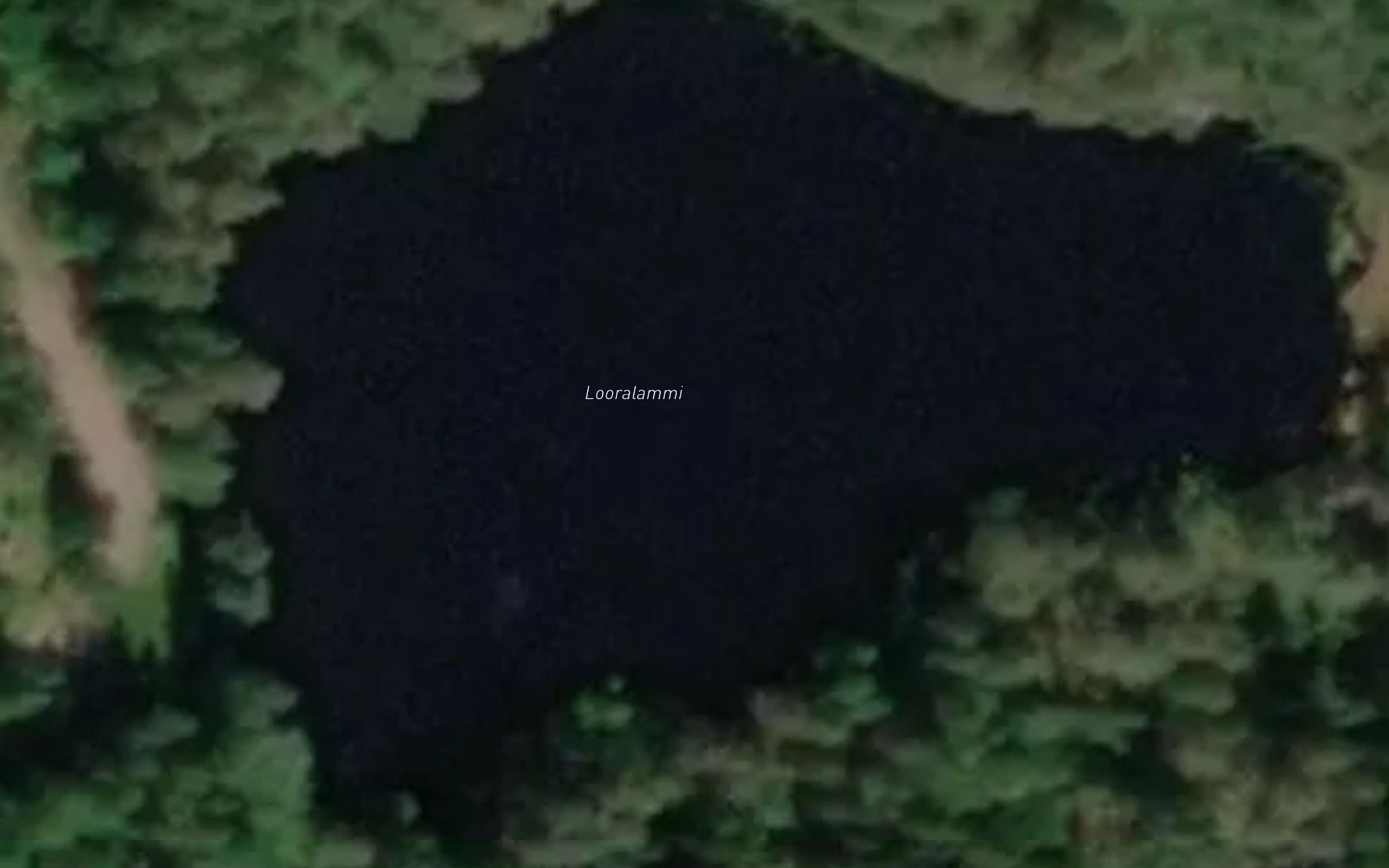 Looralammi