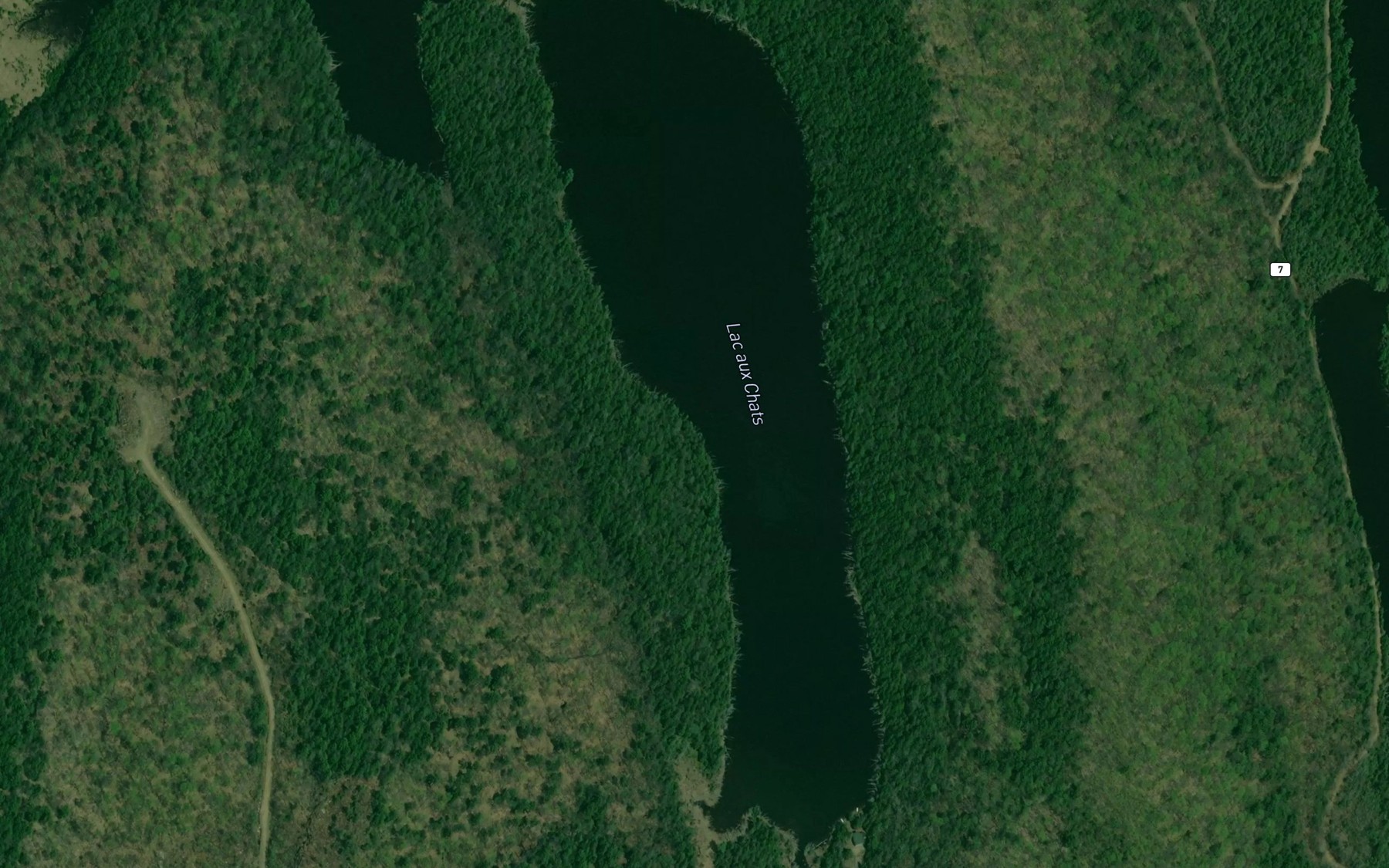 Satellite map of the Lac aux Chats