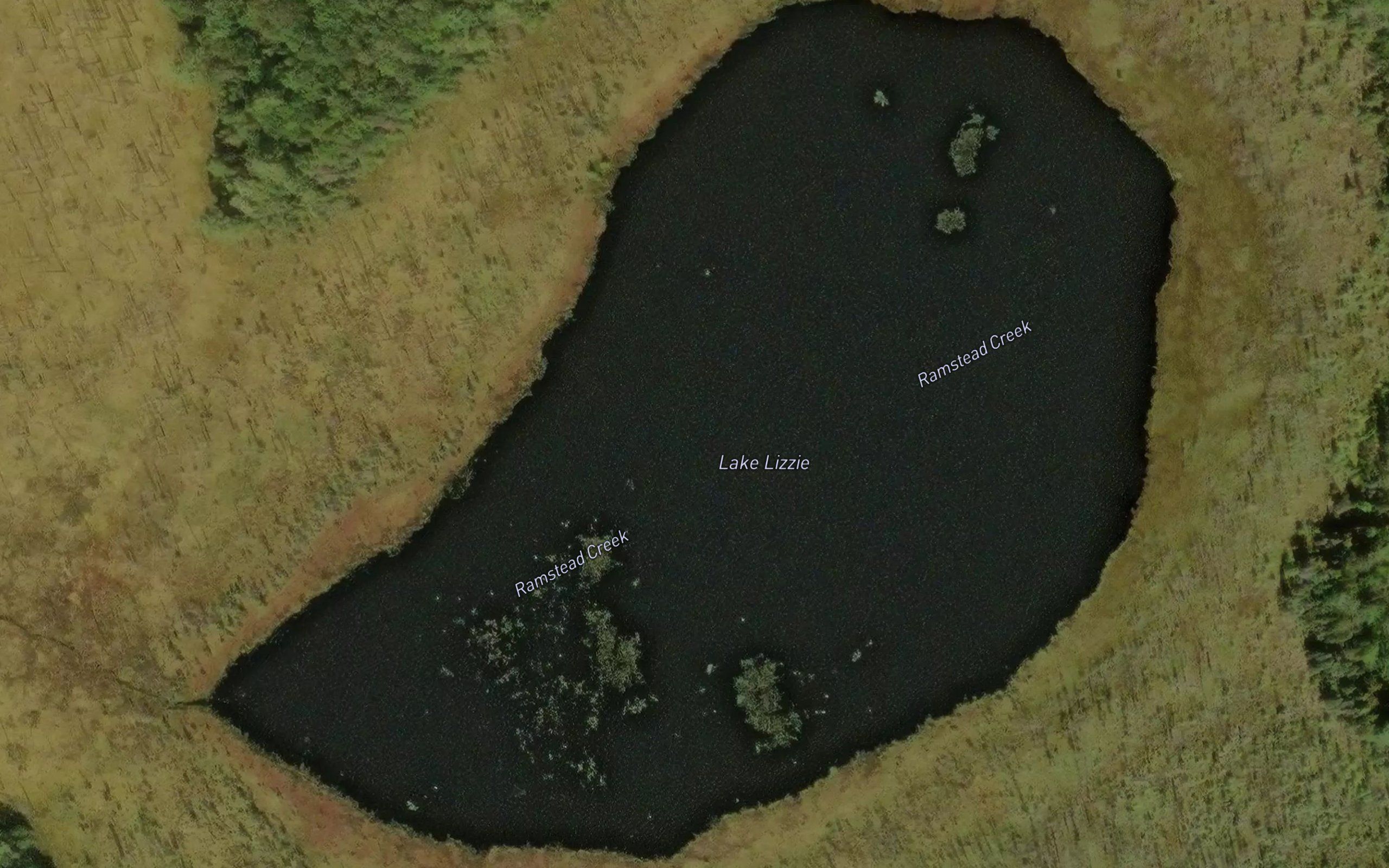 Lake Lizzie