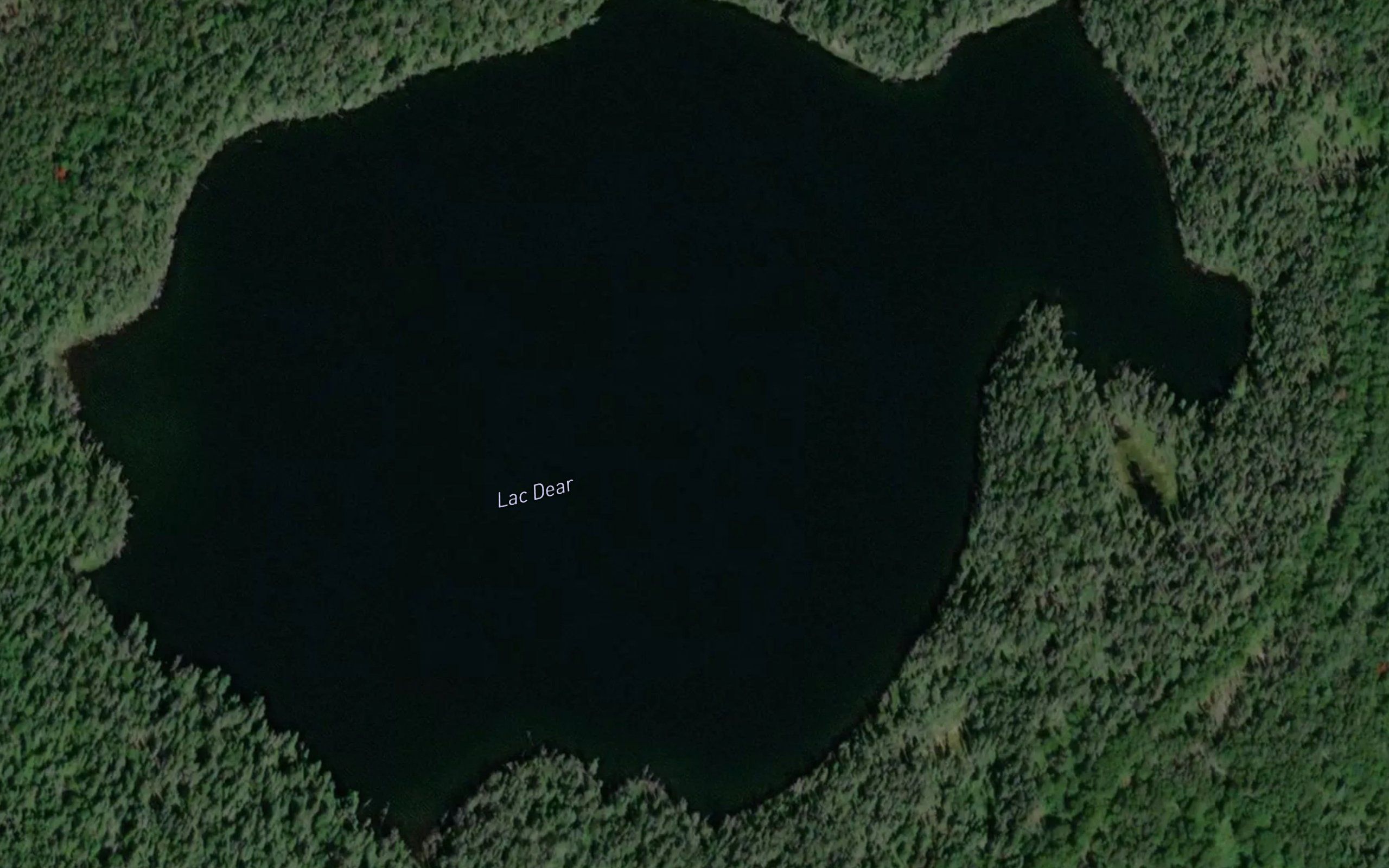 Lac Dear