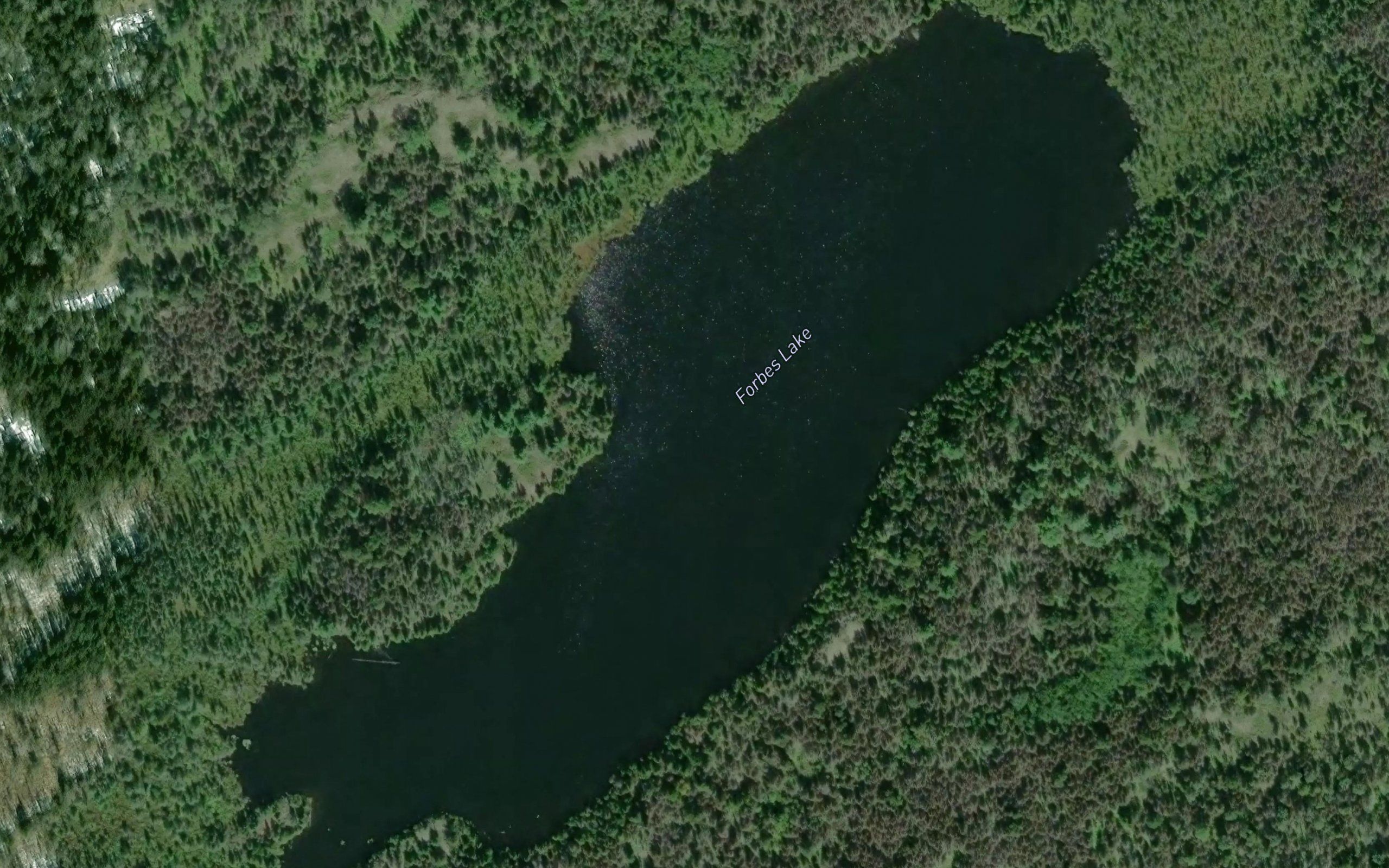 Forbes Lake