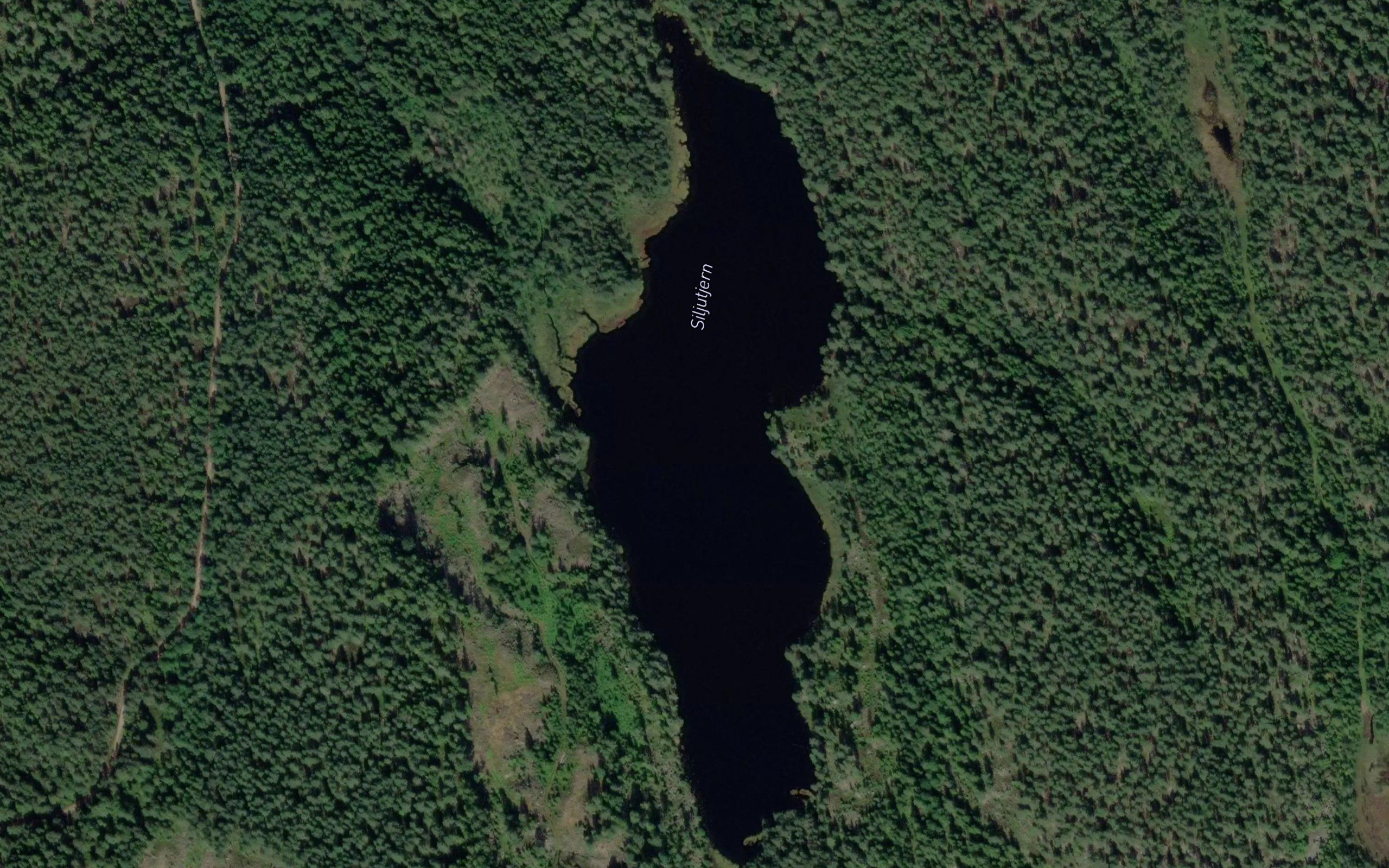 Siljutjern