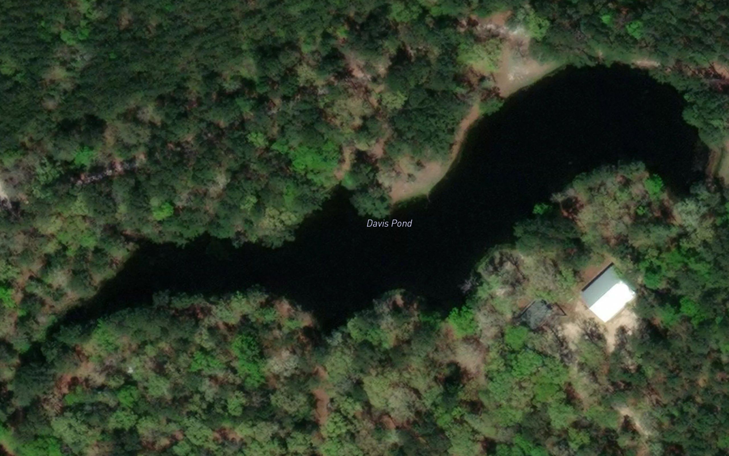 Davis Pond