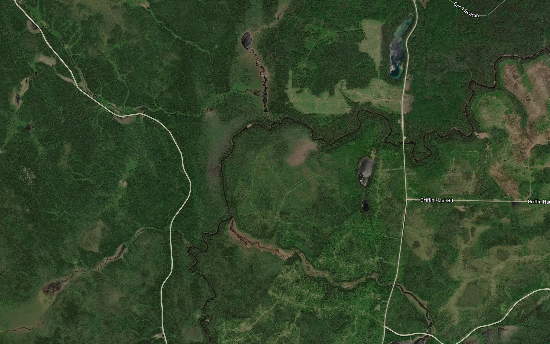Satellite map of the Lisgar Creek