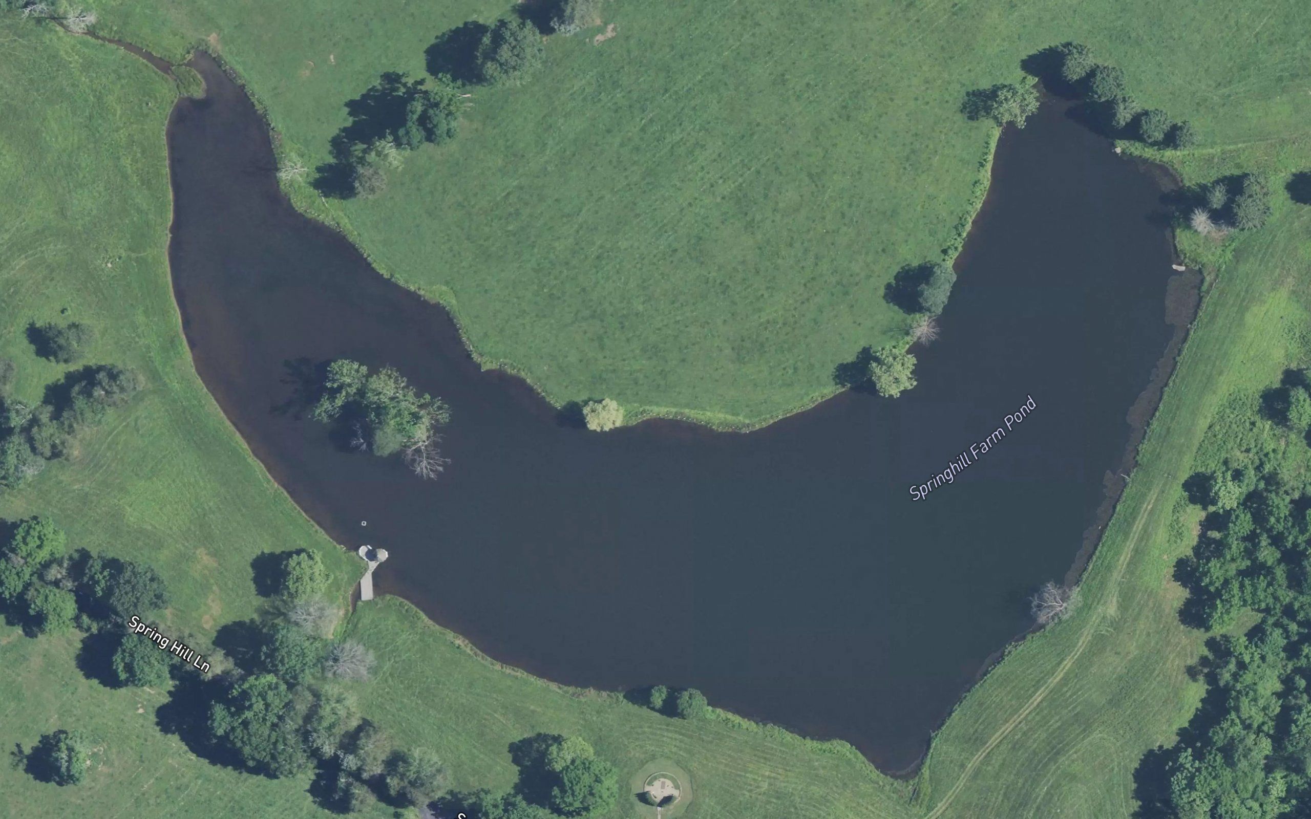 Springhill Farm Pond