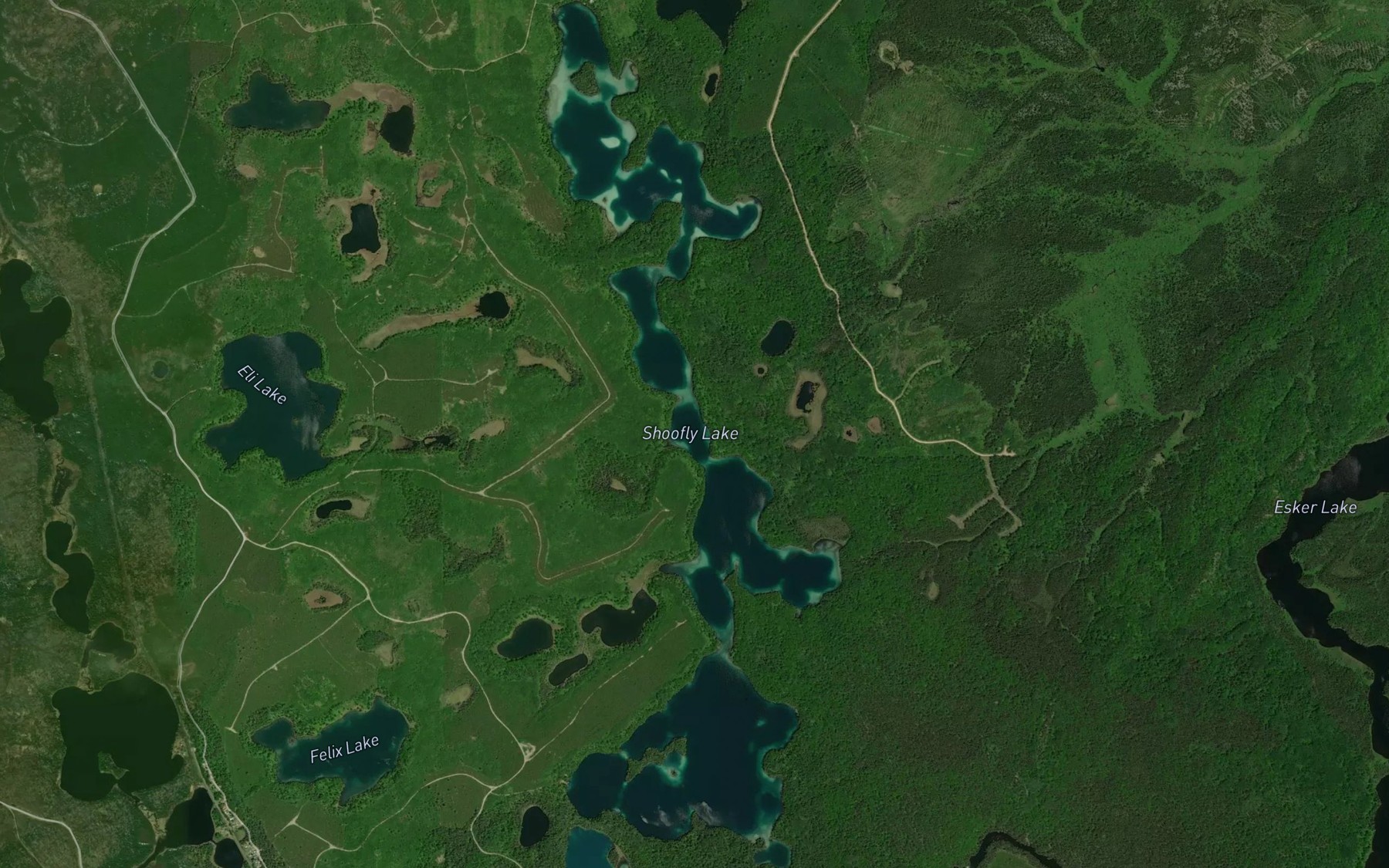 Satellite map of the Shoofly Lake