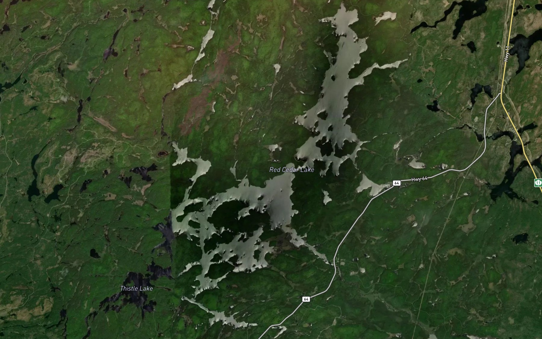 Satellite map of the Red Cedar Lake