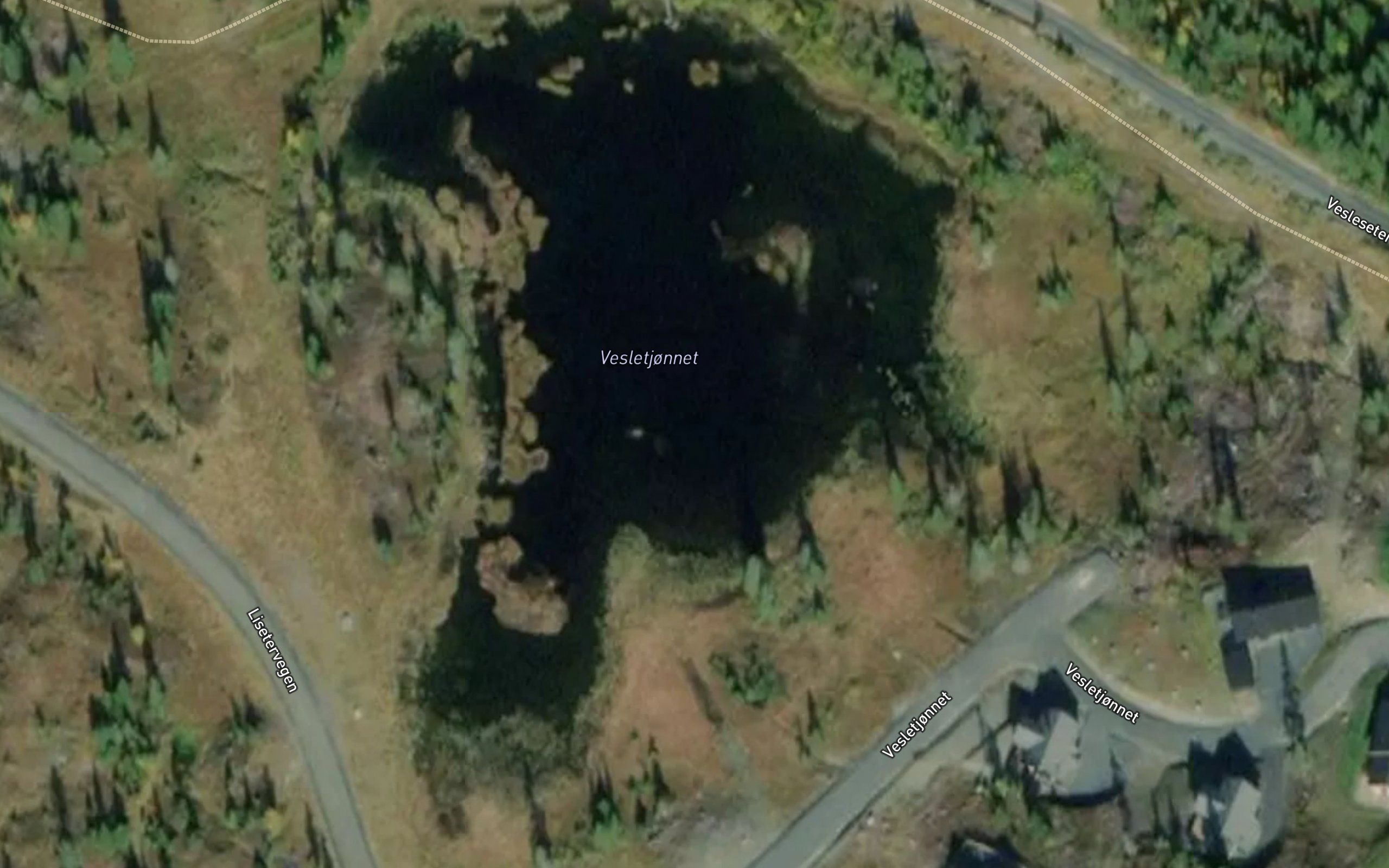 Velttjernet